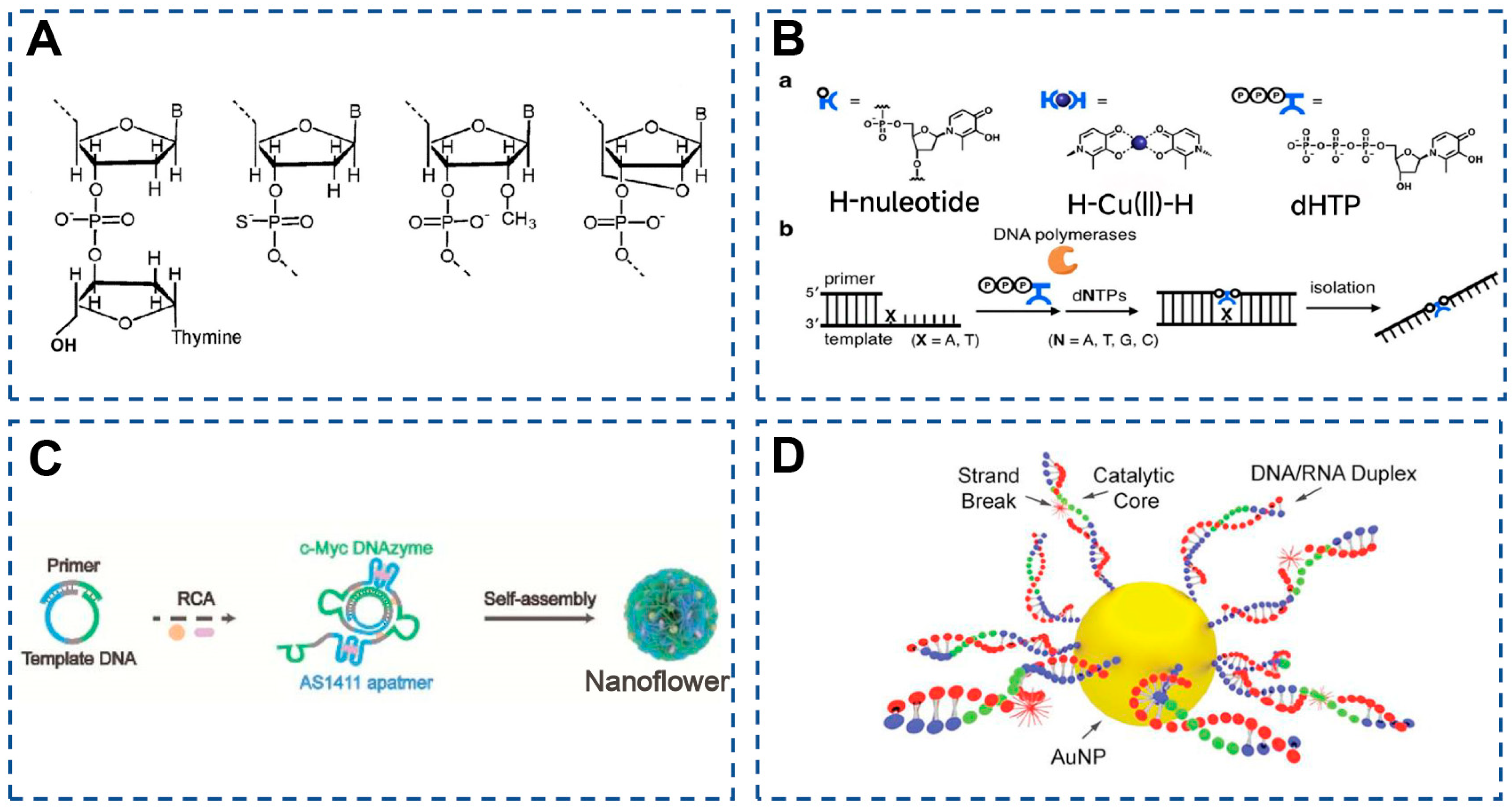 Catalysts 14 00795 g002