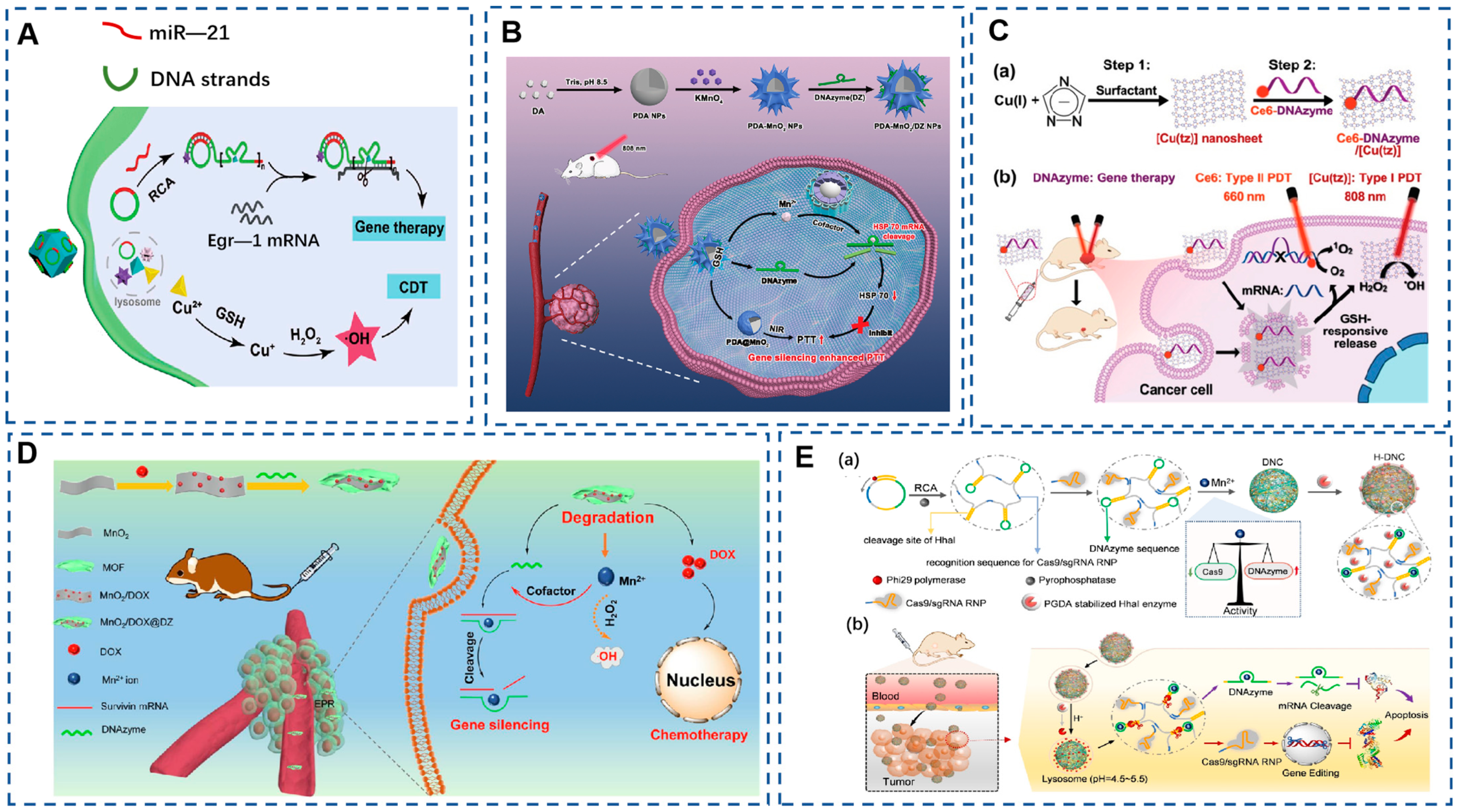 Catalysts 14 00795 g005