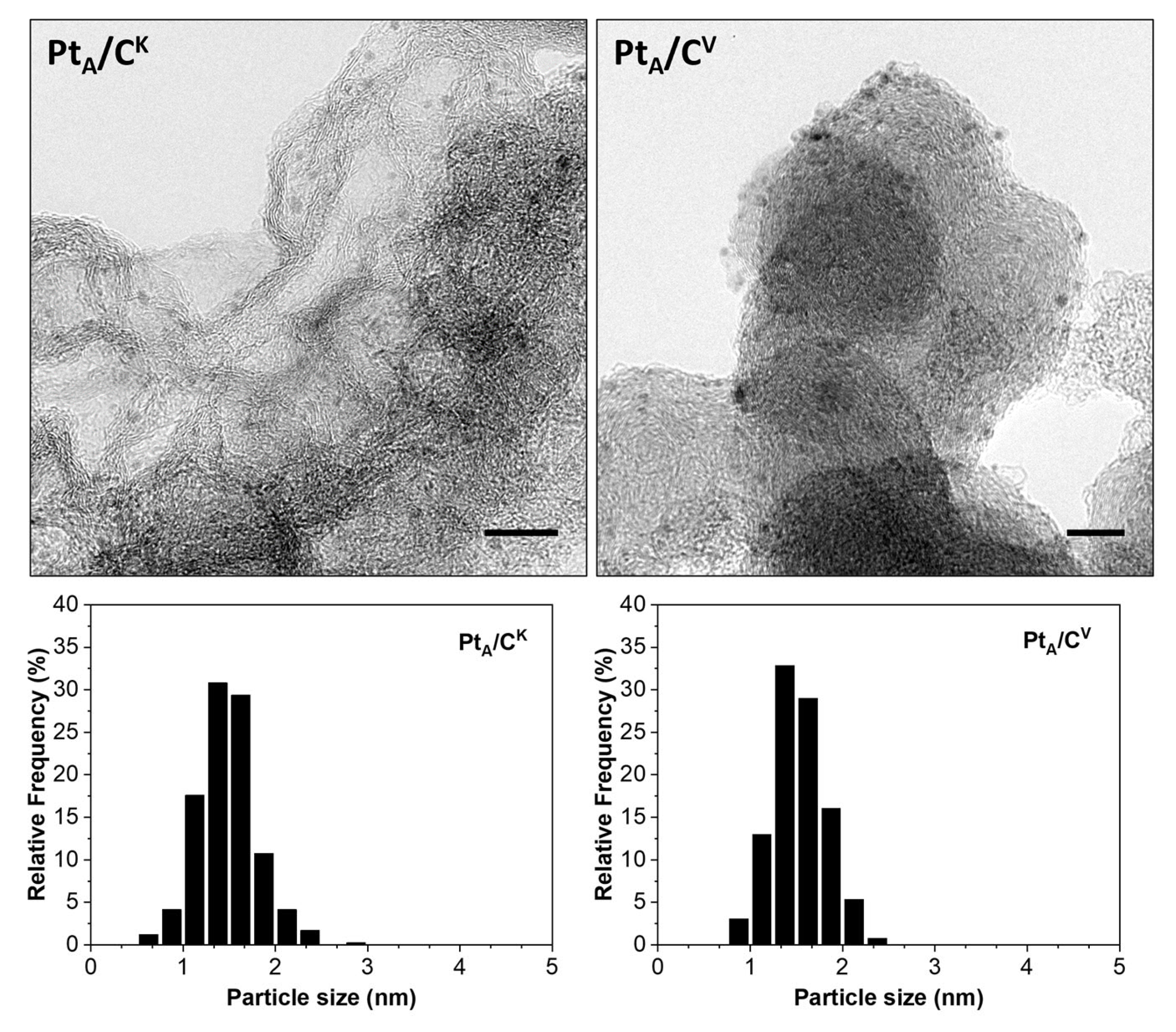 Catalysts 14 00798 g001