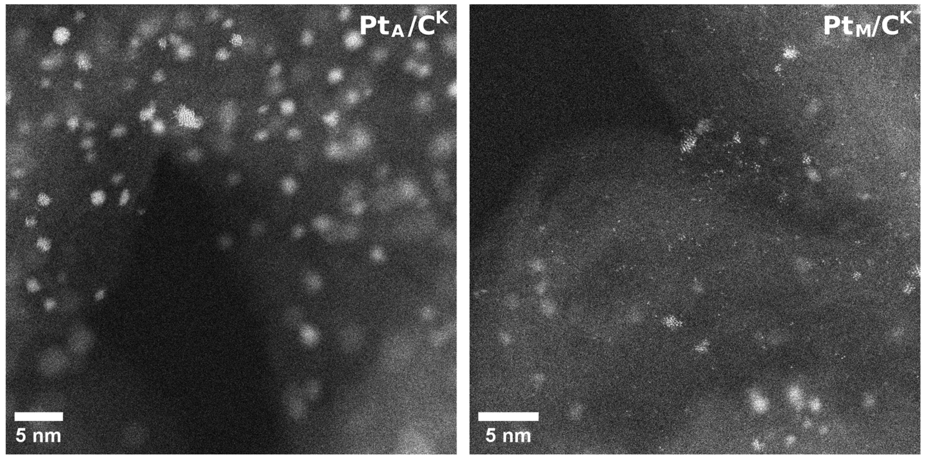 Catalysts 14 00798 g002
