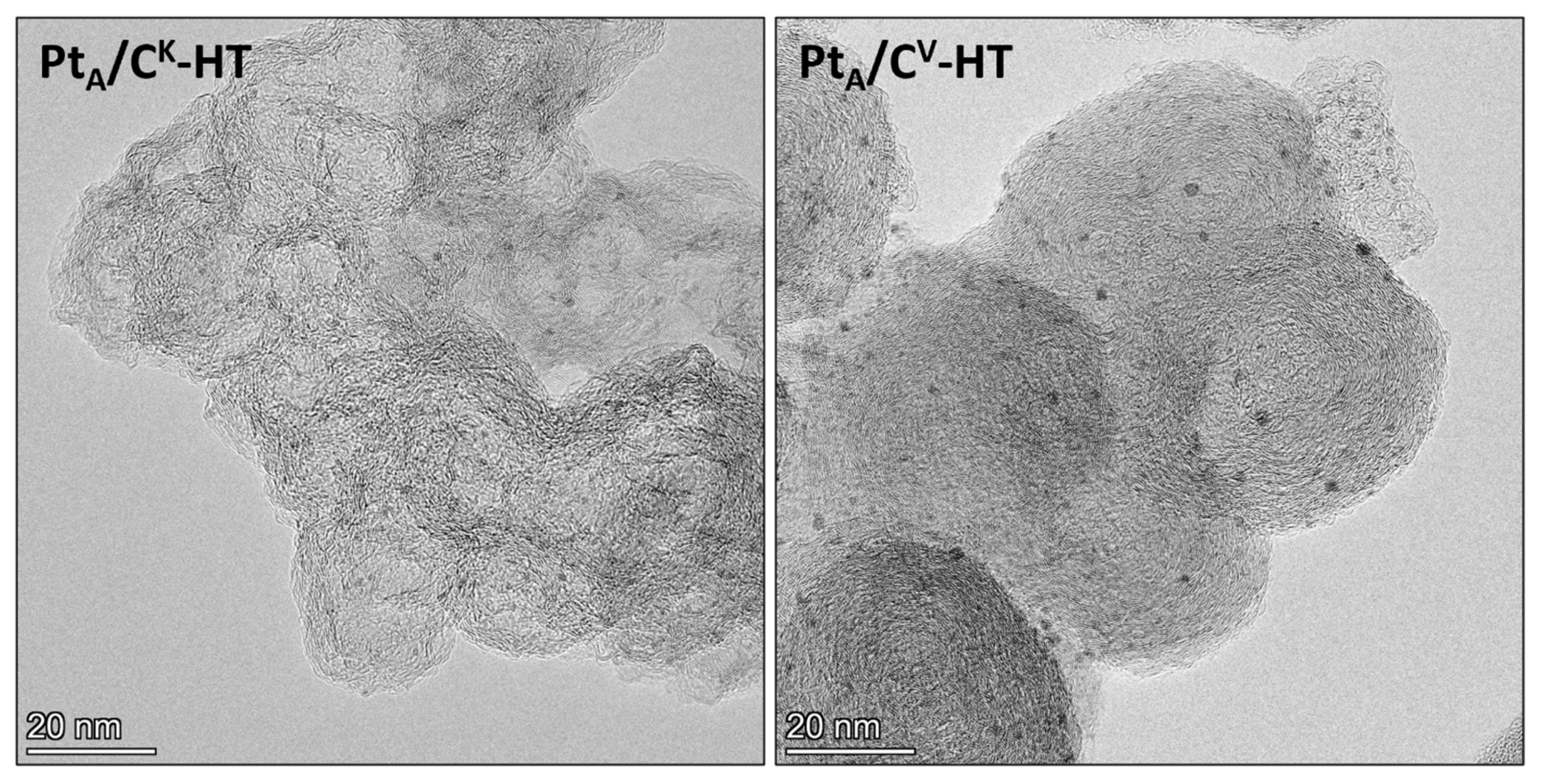 Catalysts 14 00798 g003