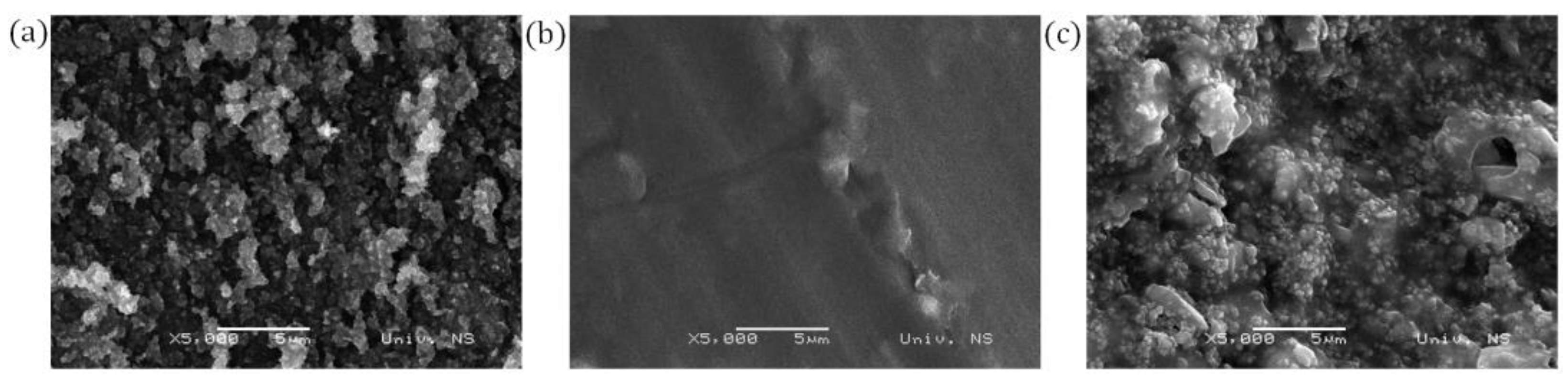 Catalysts 14 00799 g001