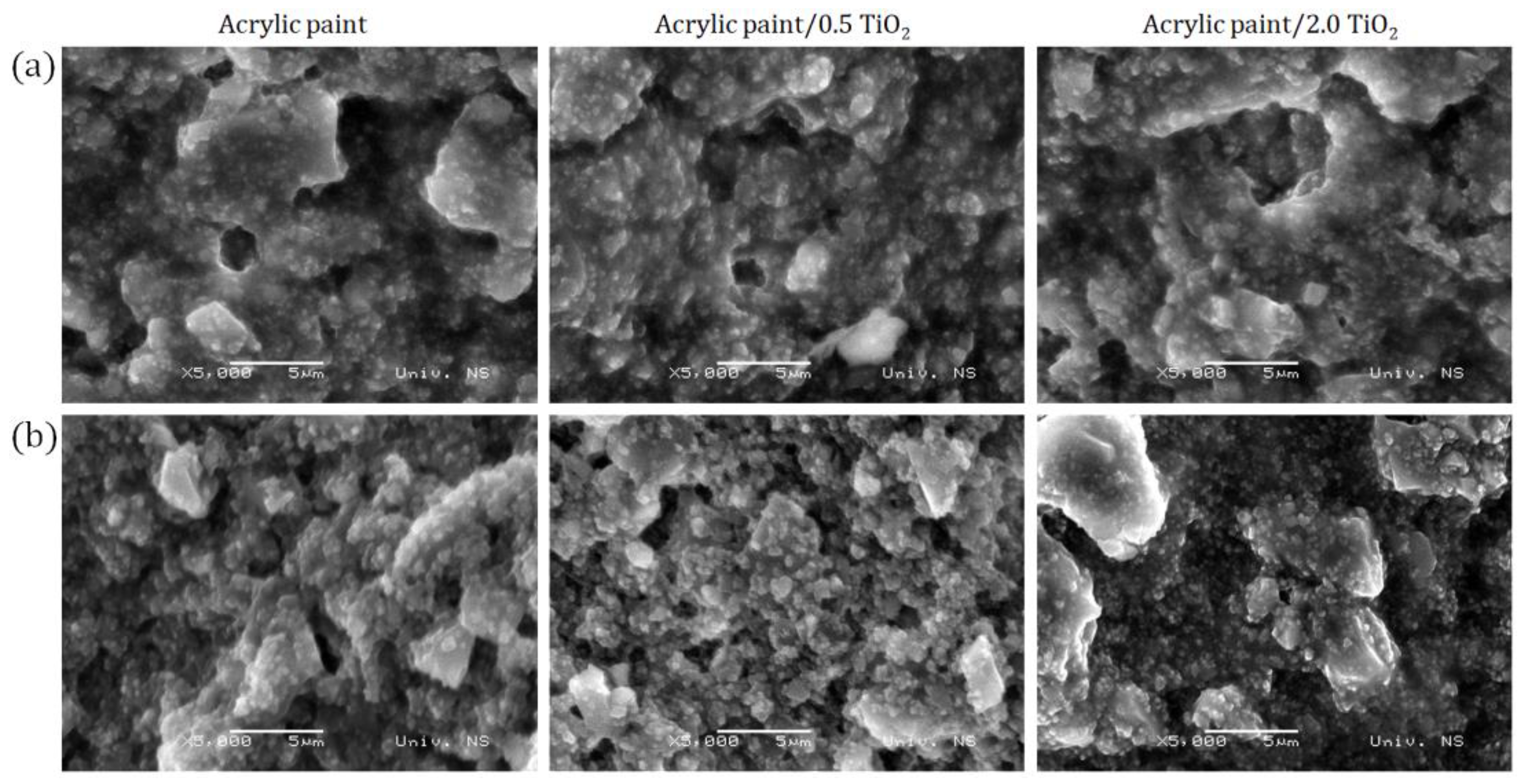 Catalysts 14 00799 g002