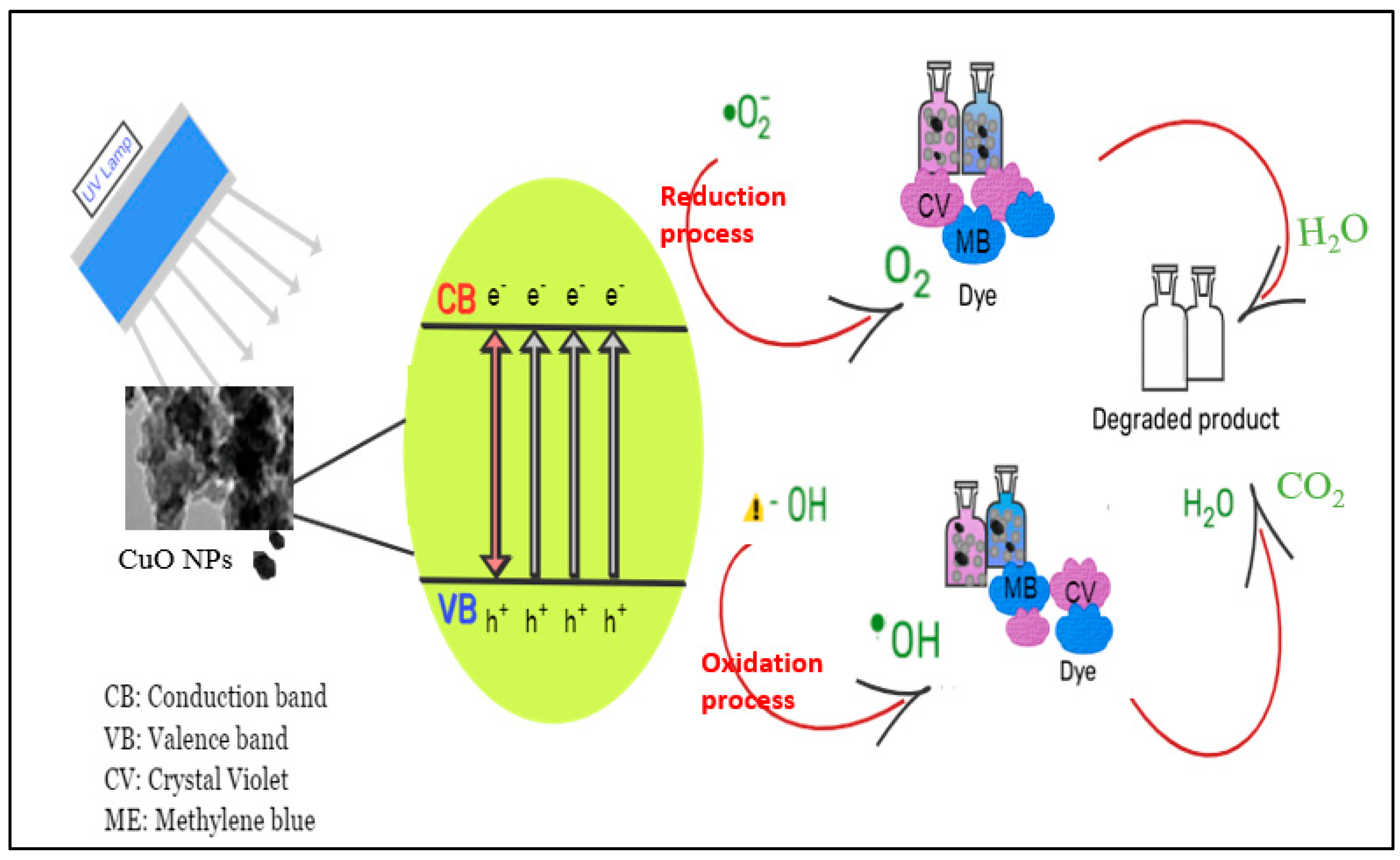 Catalysts 14 00800 g008 Catalysts 14 00800 g008