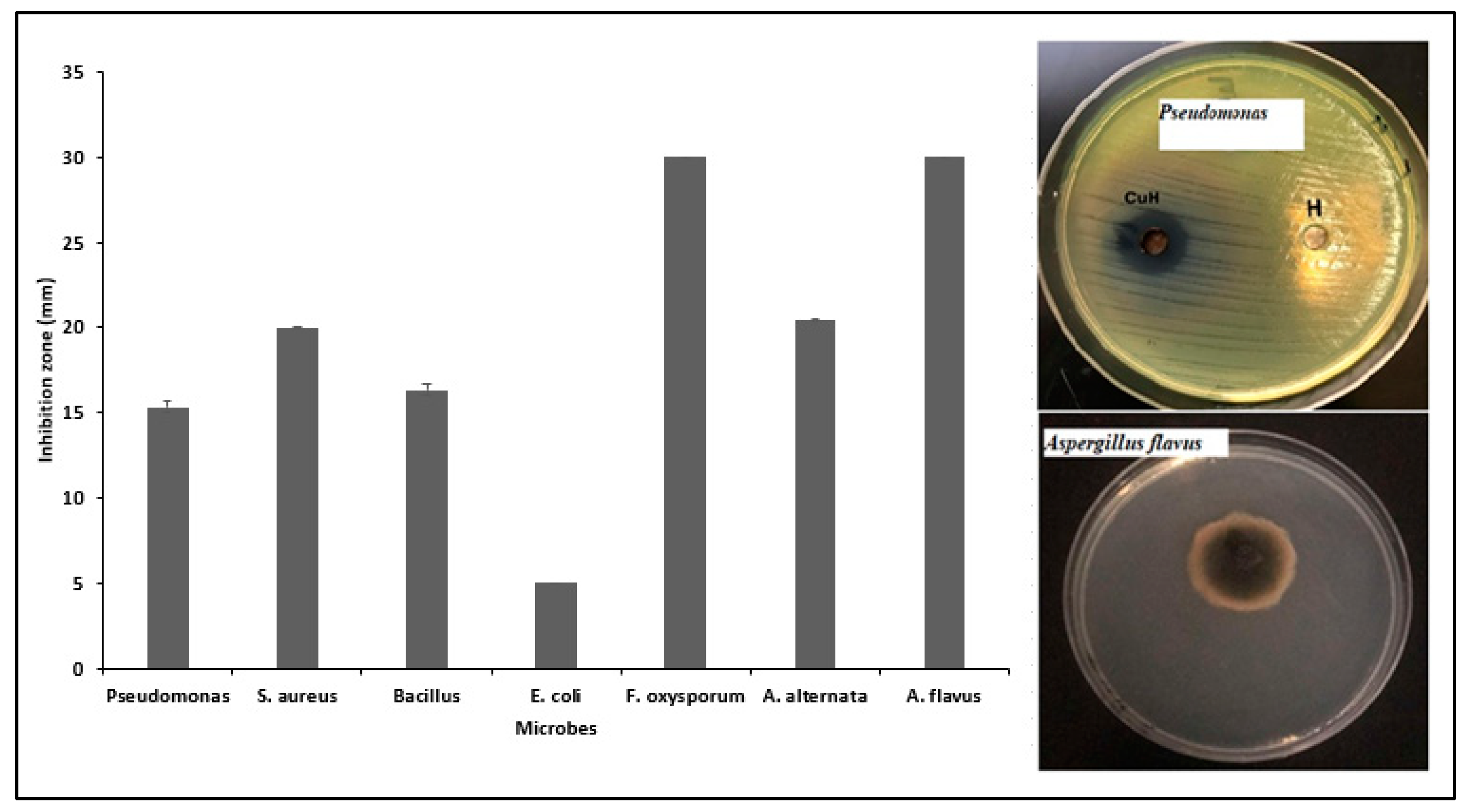 Catalysts 14 00800 g009 Catalysts 14 00800 g009