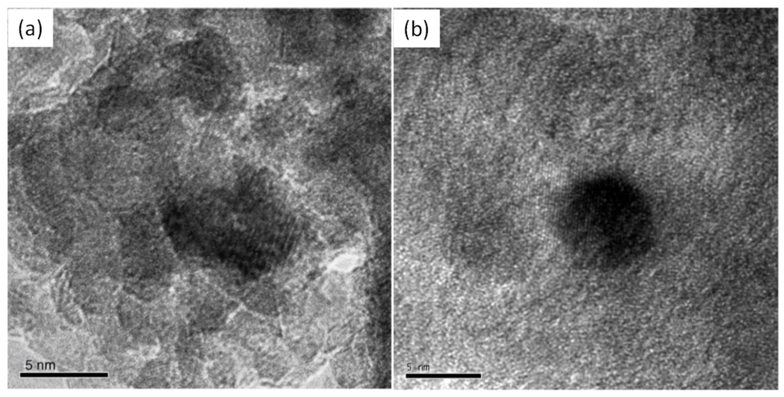 Catalysts 14 00802 g007