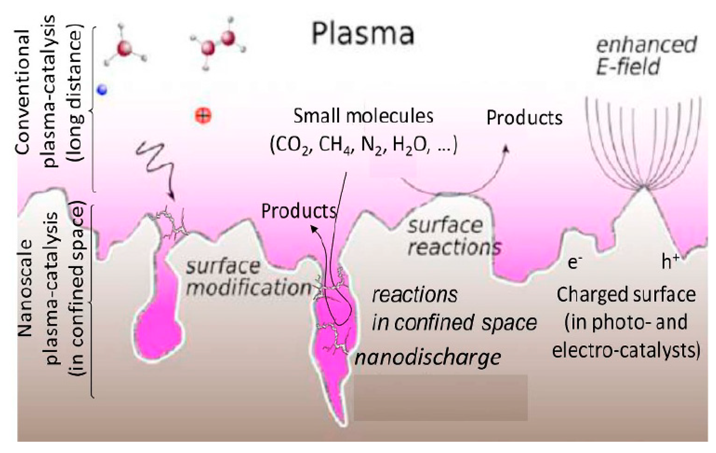 Catalysts 14 00802 g016