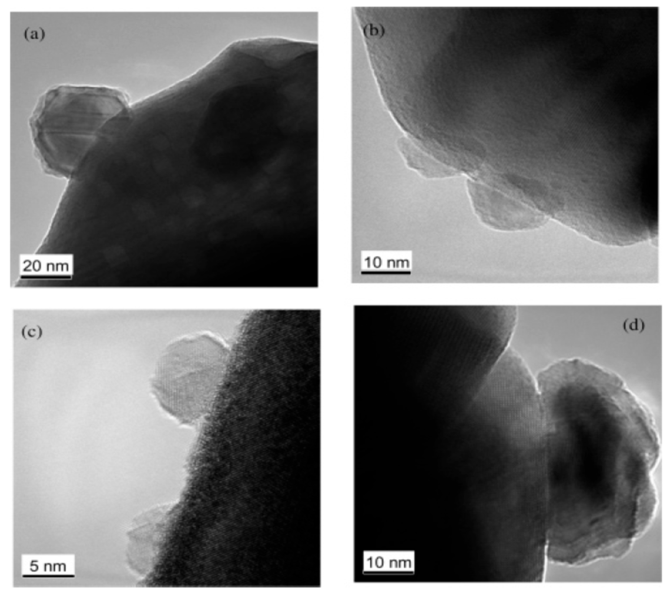 Catalysts 14 00802 g017