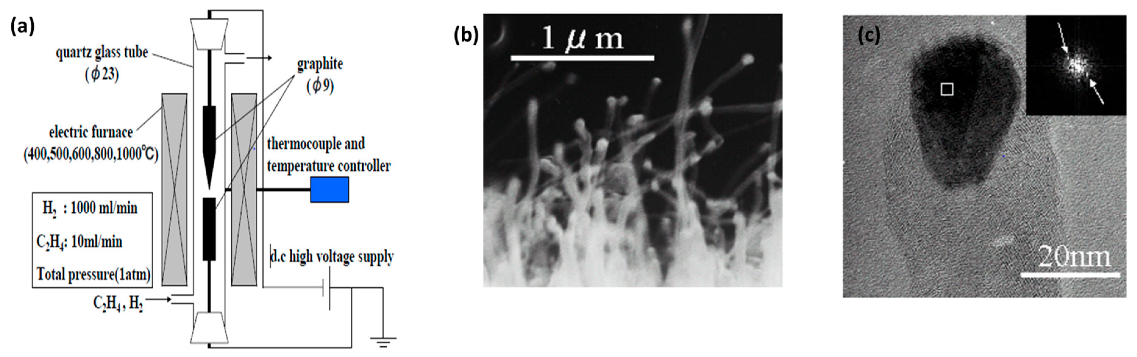 Catalysts 14 00802 g018