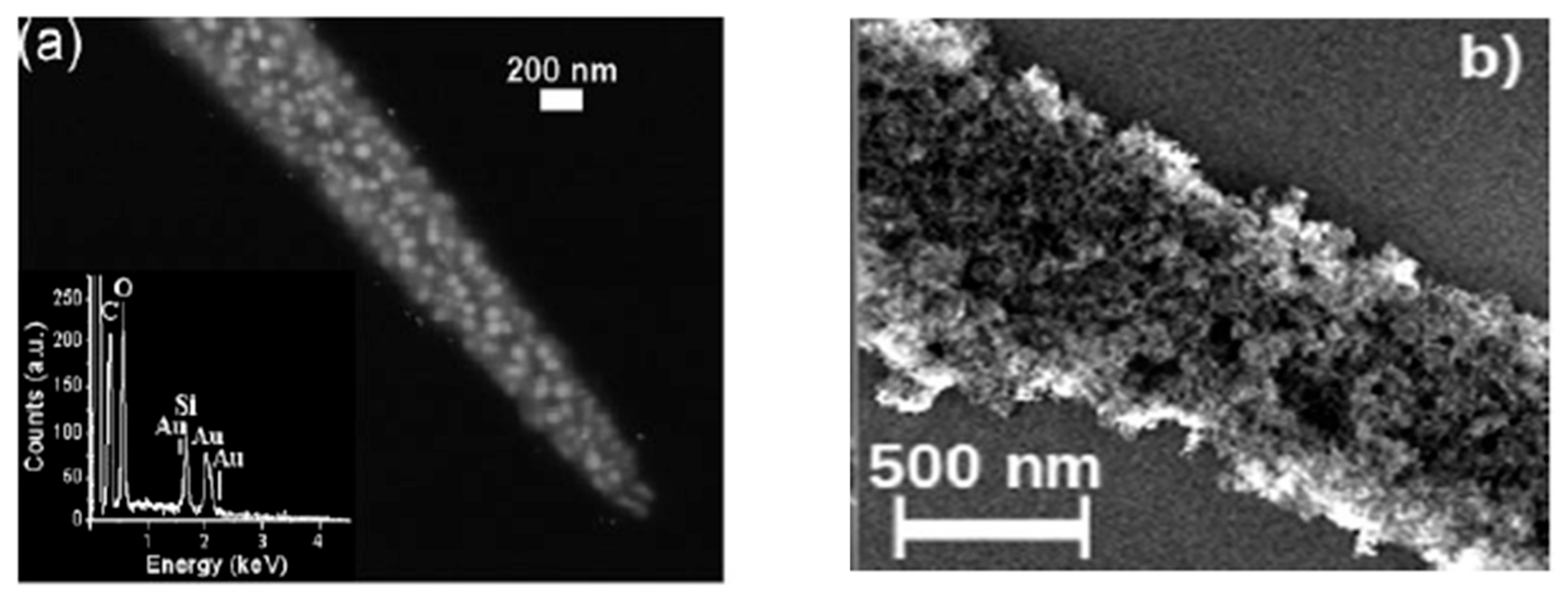 Catalysts 14 00802 g019