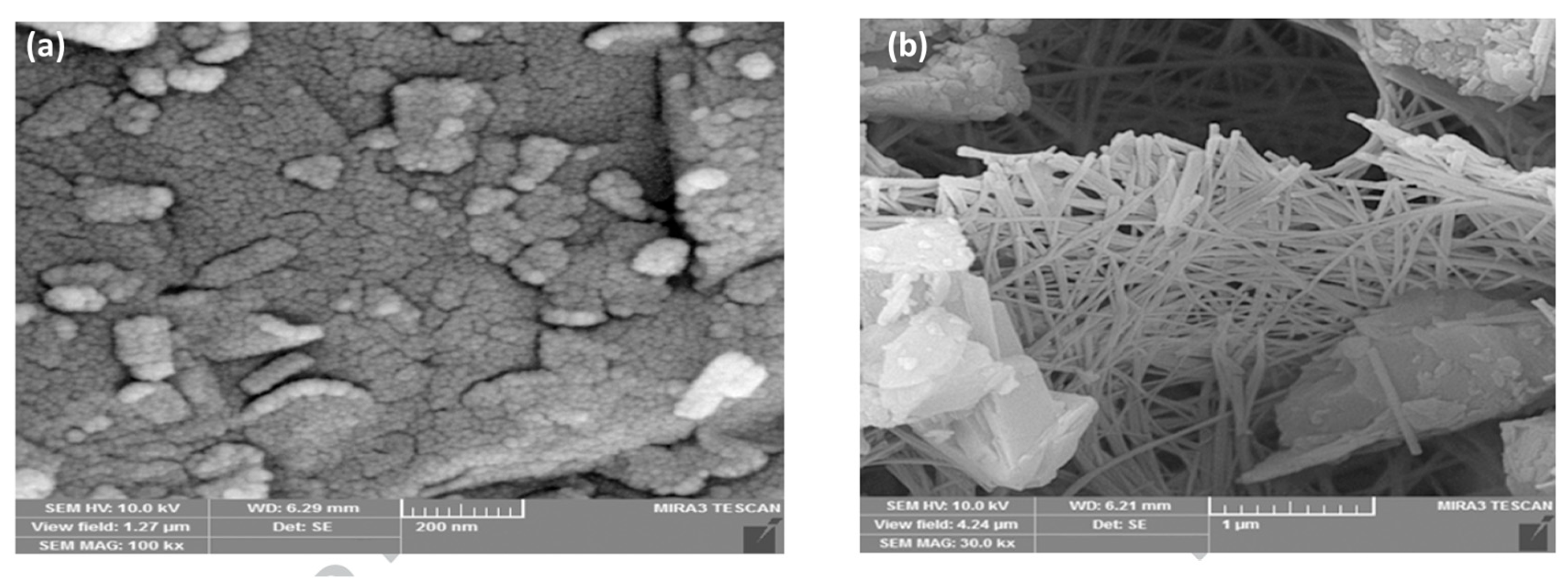 Catalysts 14 00802 g020