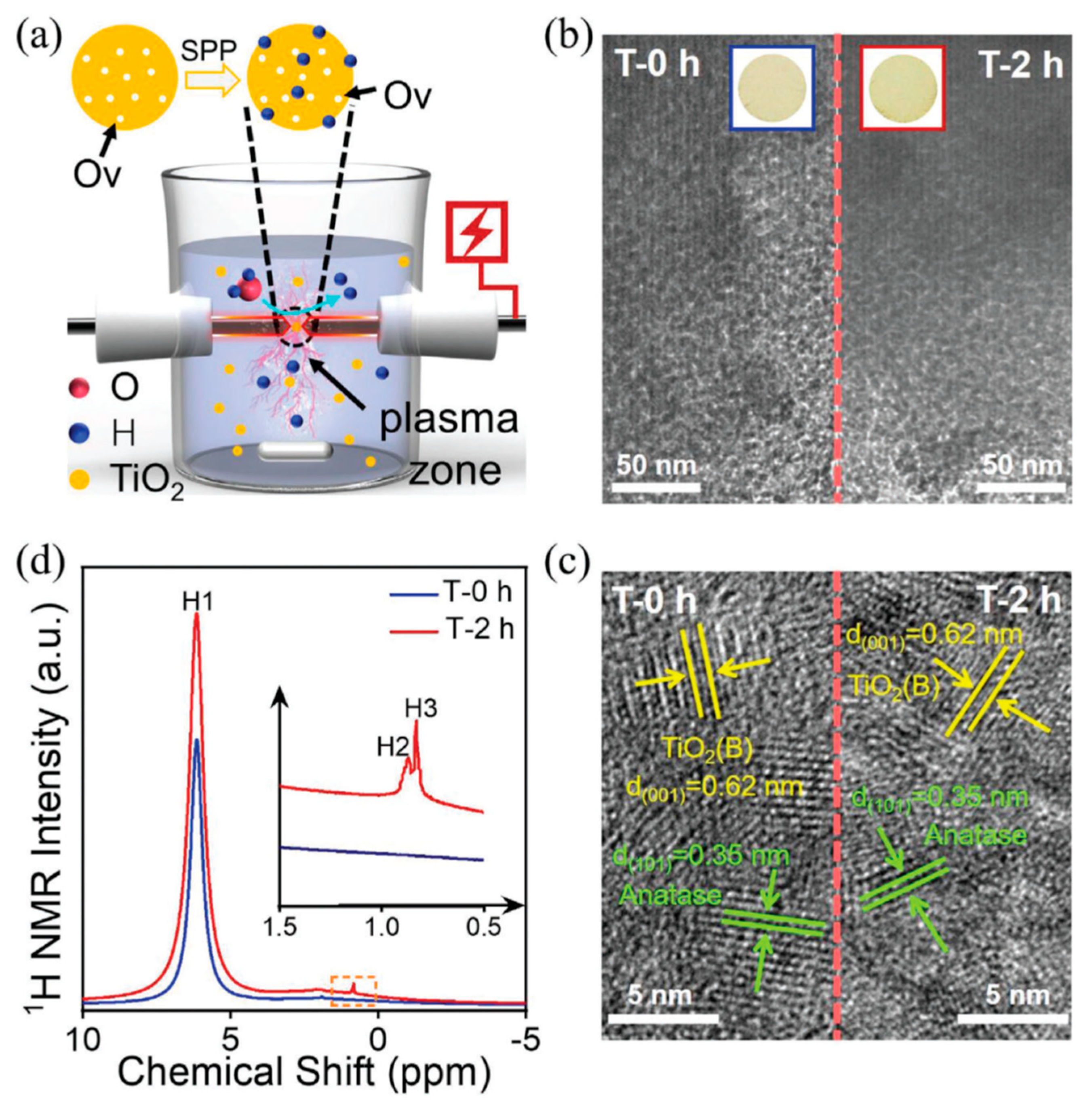 Catalysts 14 00802 g025
