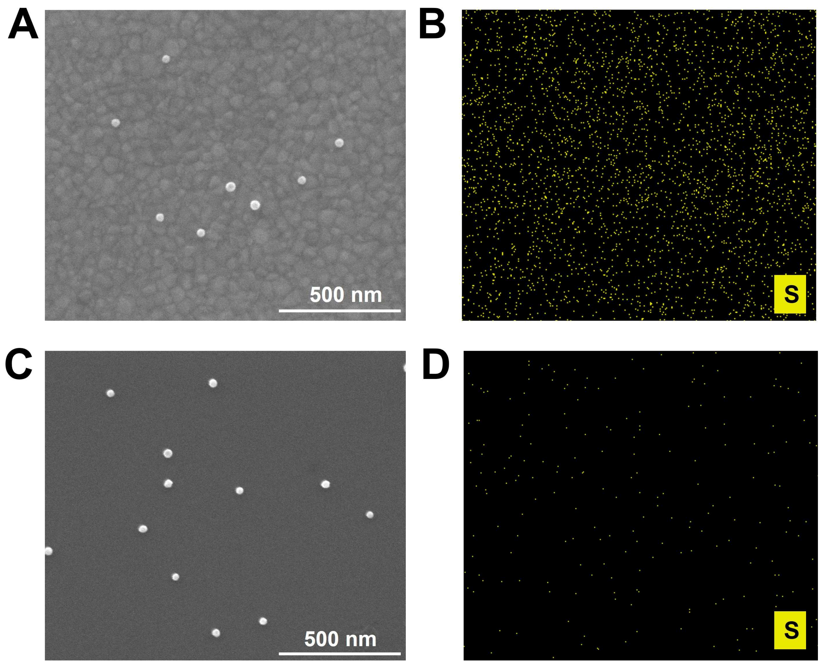Catalysts 14 00803 g001