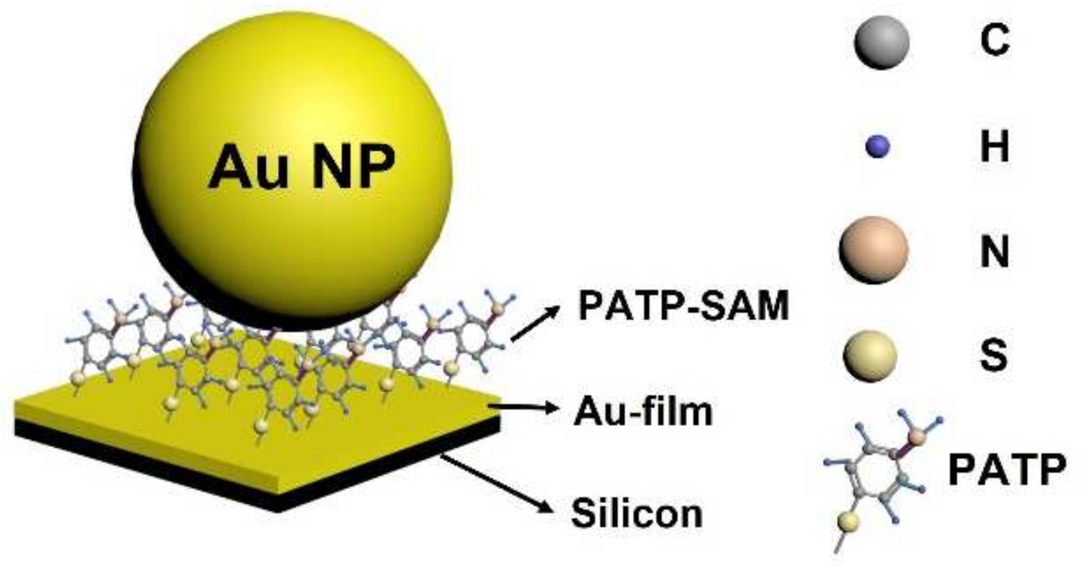 Catalysts 14 00803 sch001