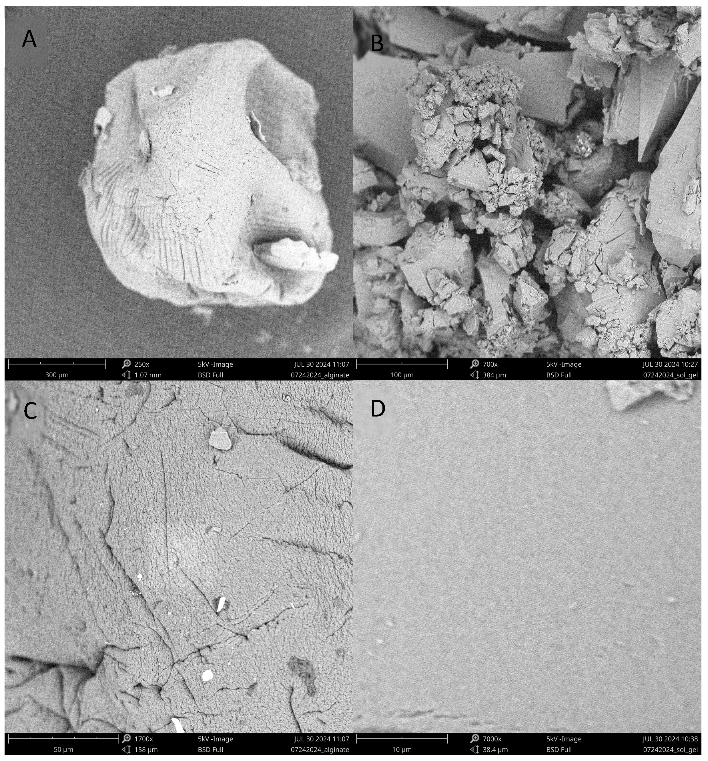 Catalysts 14 00805 g003