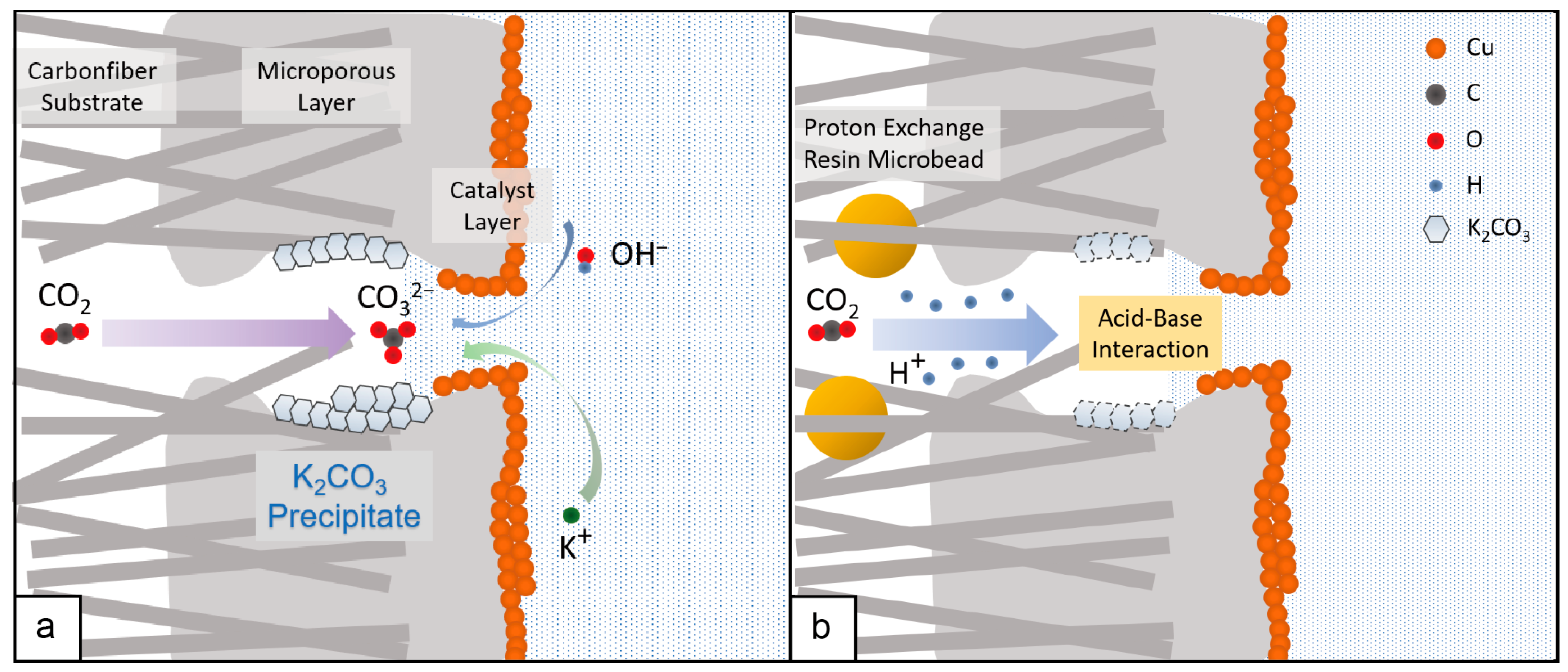 Catalysts 14 00807 g001
