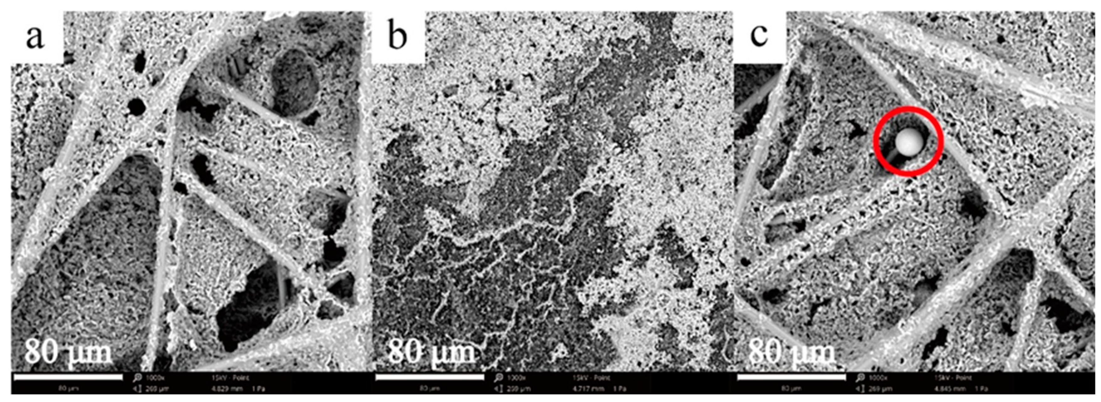 Catalysts 14 00807 g002