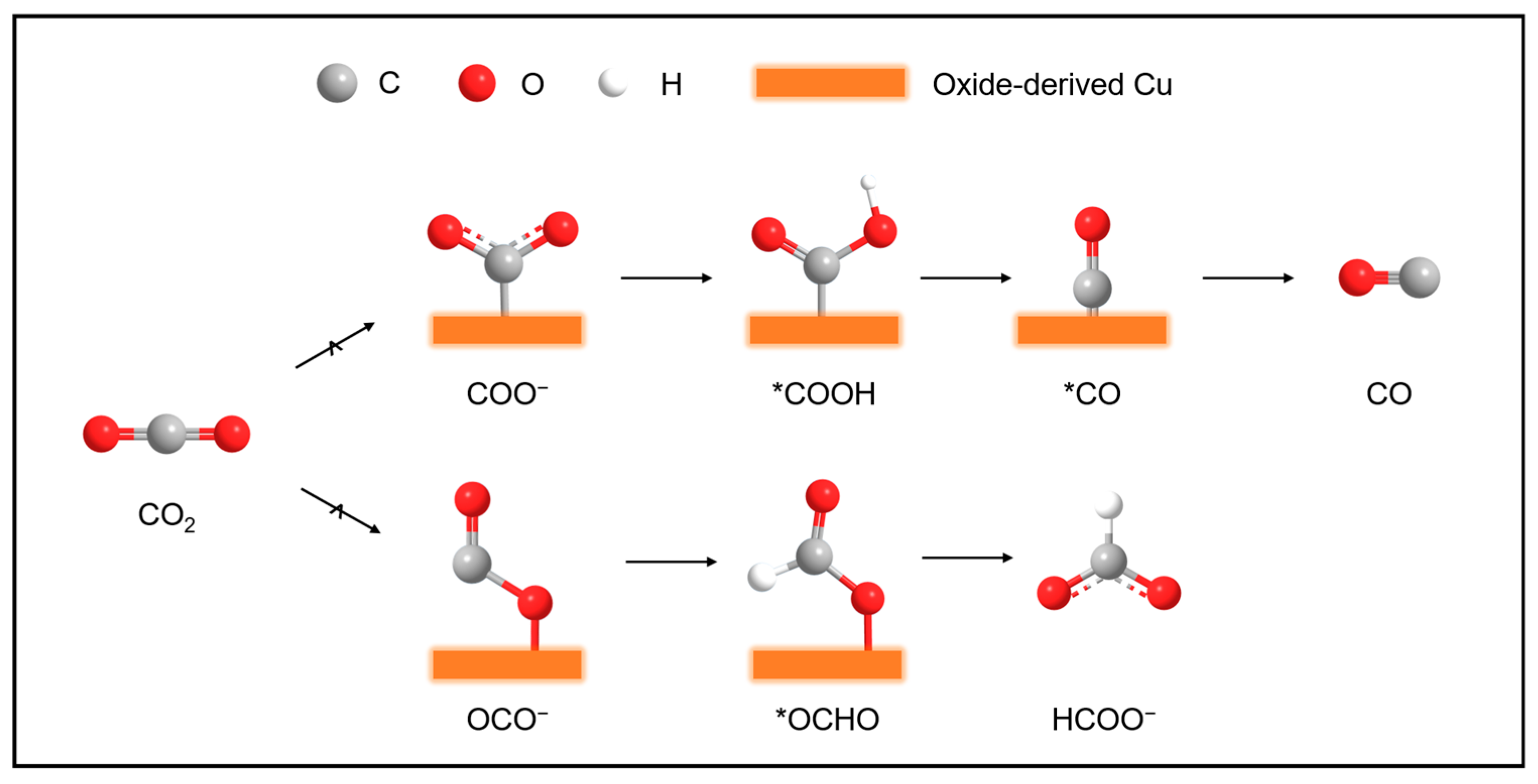 Catalysts 14 00807 g005