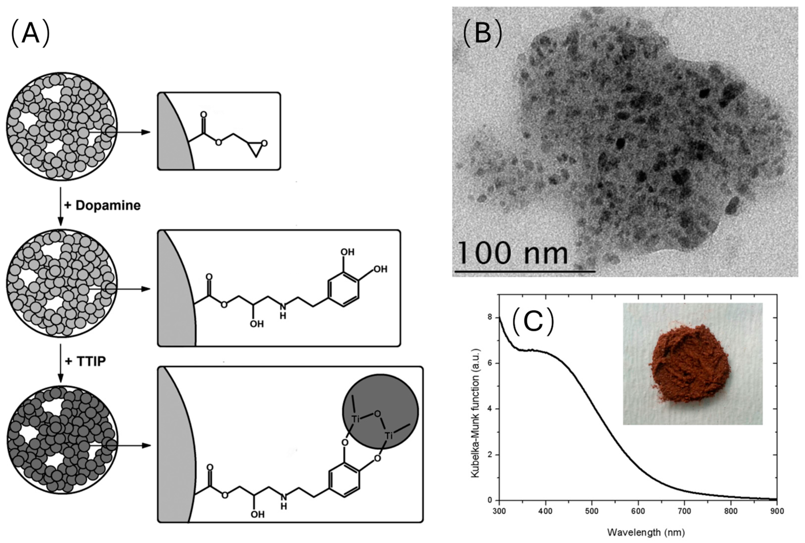 Catalysts 14 00810 g003 Catalysts 14 00810 g003