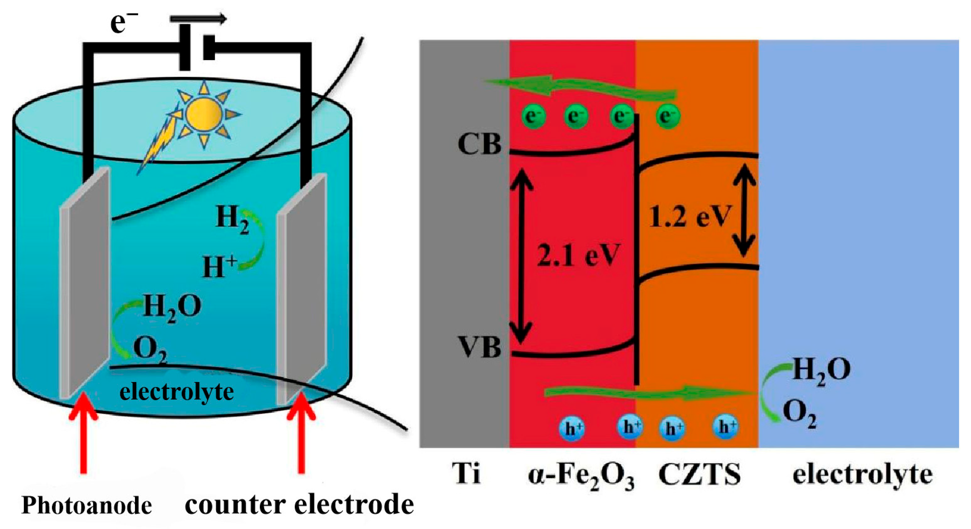 Catalysts 14 00812 g009
