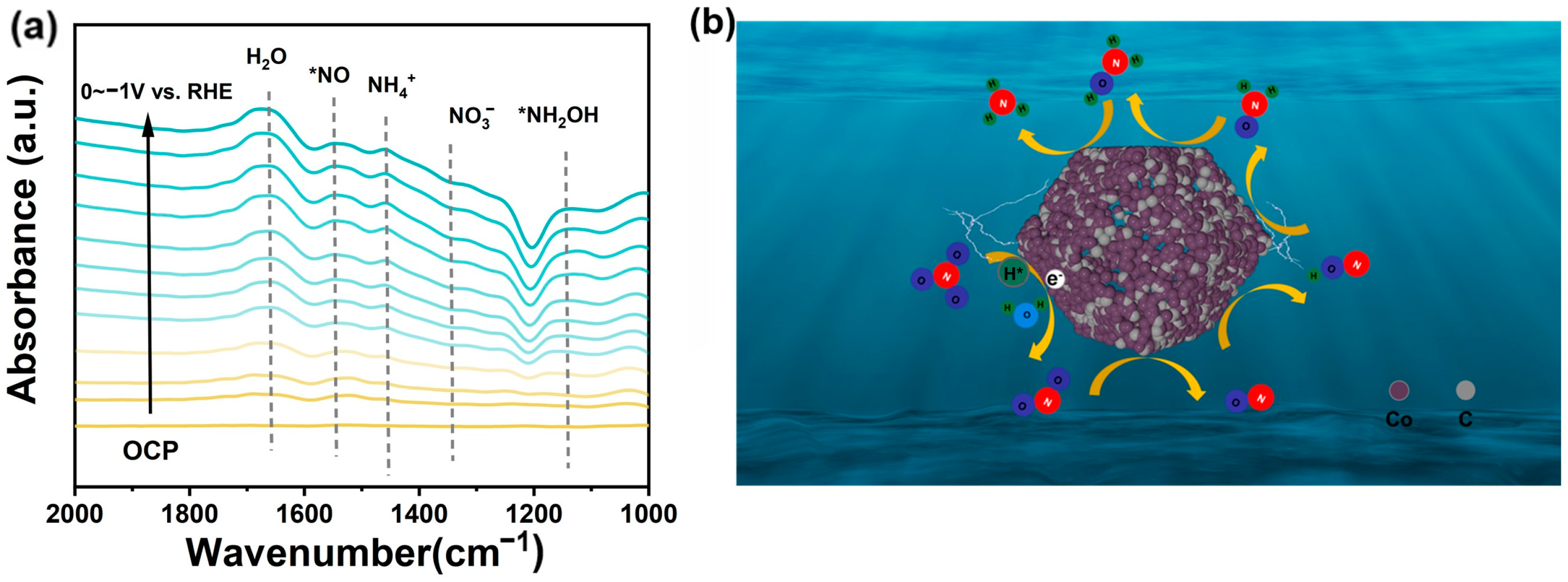Catalysts 14 00817 g009