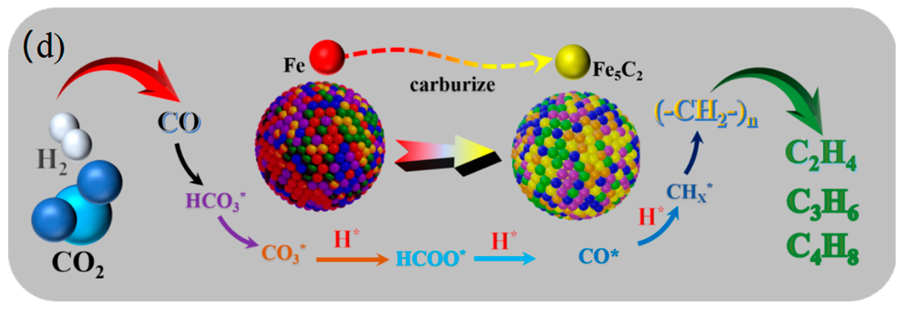 Catalysts 14 00818 g006b