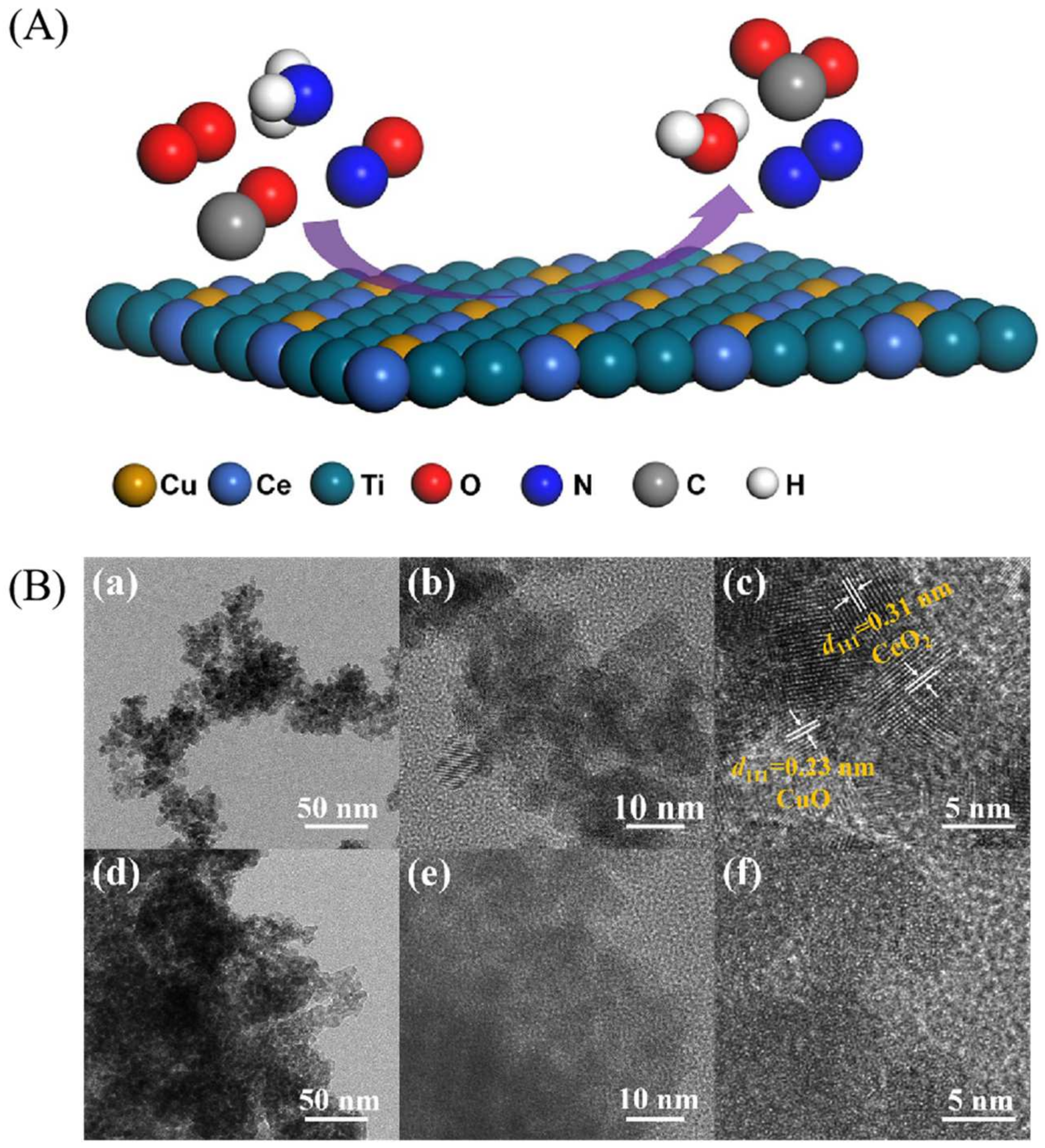 Catalysts 14 00819 g006