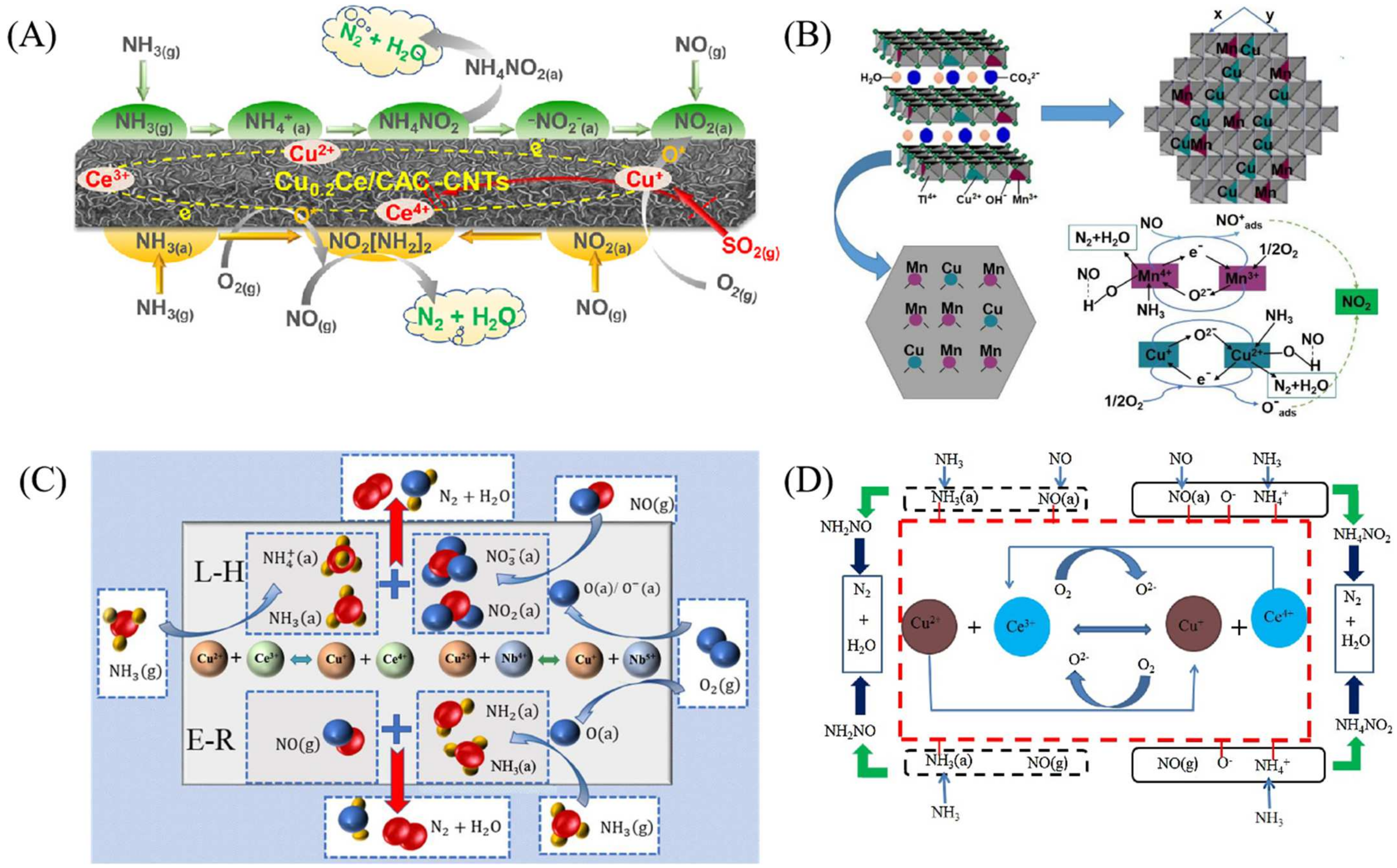 Catalysts 14 00819 g011