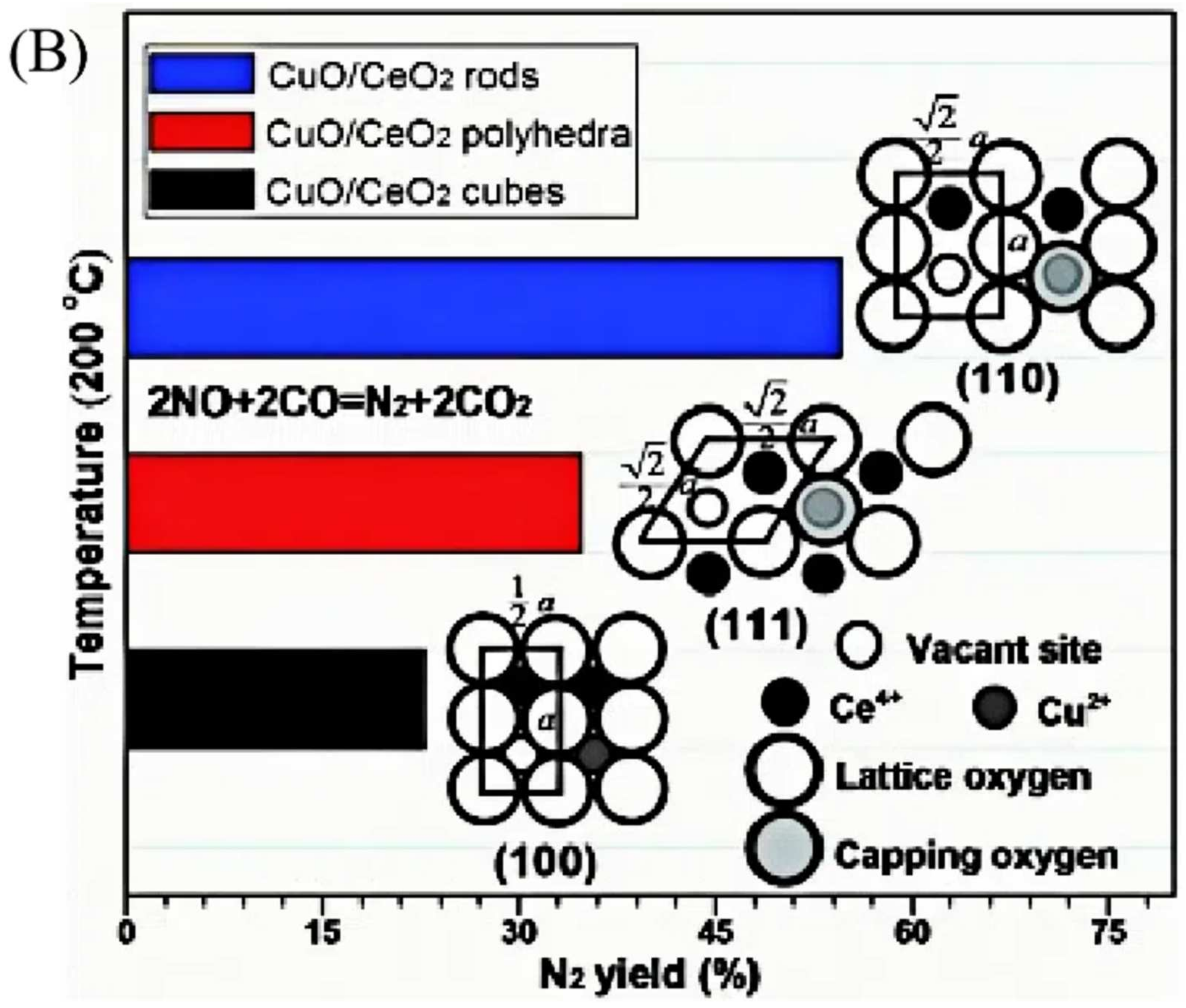 Catalysts 14 00819 g013b