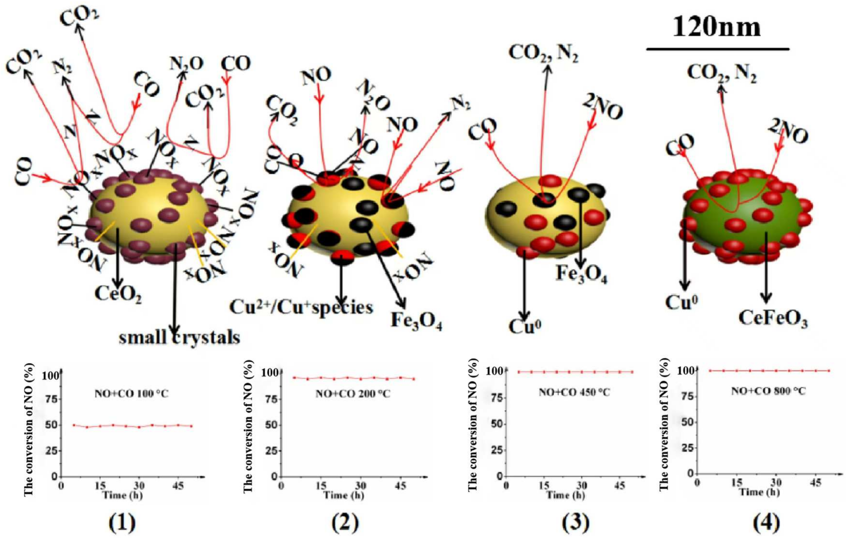 Catalysts 14 00819 g014