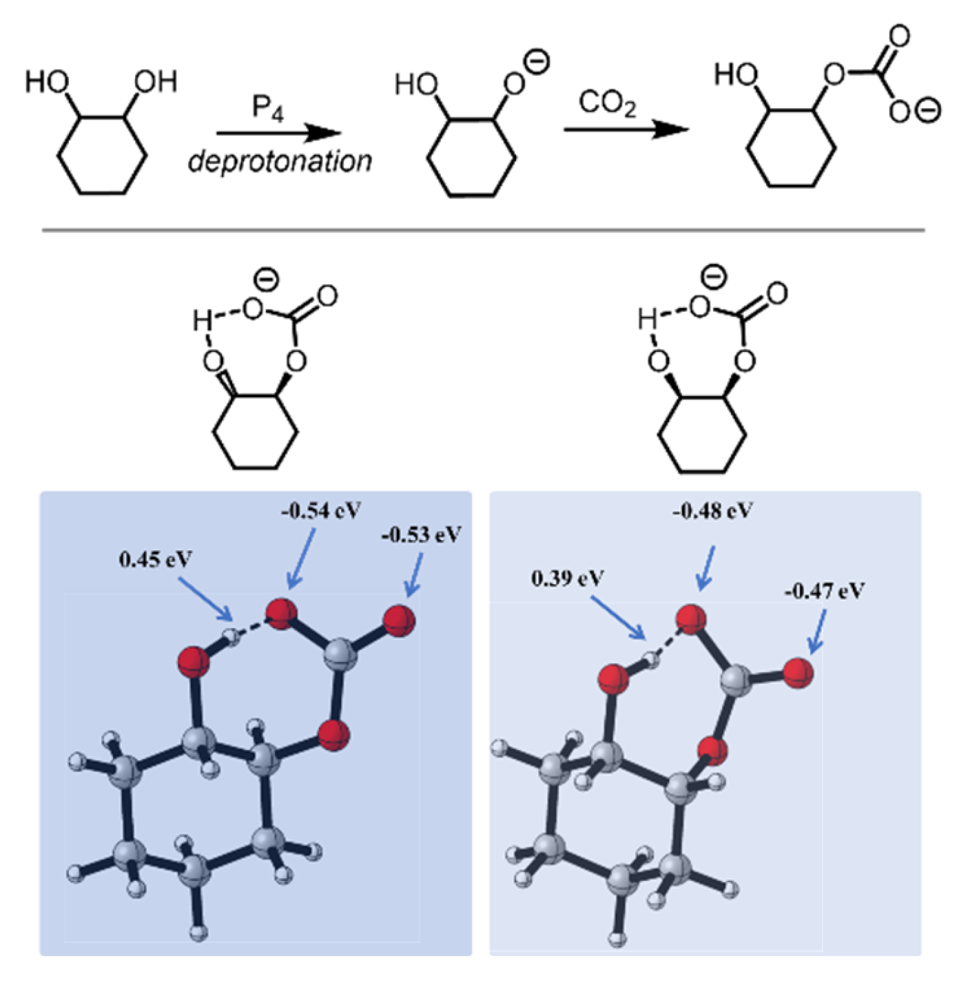 Catalysts 14 00822 g005