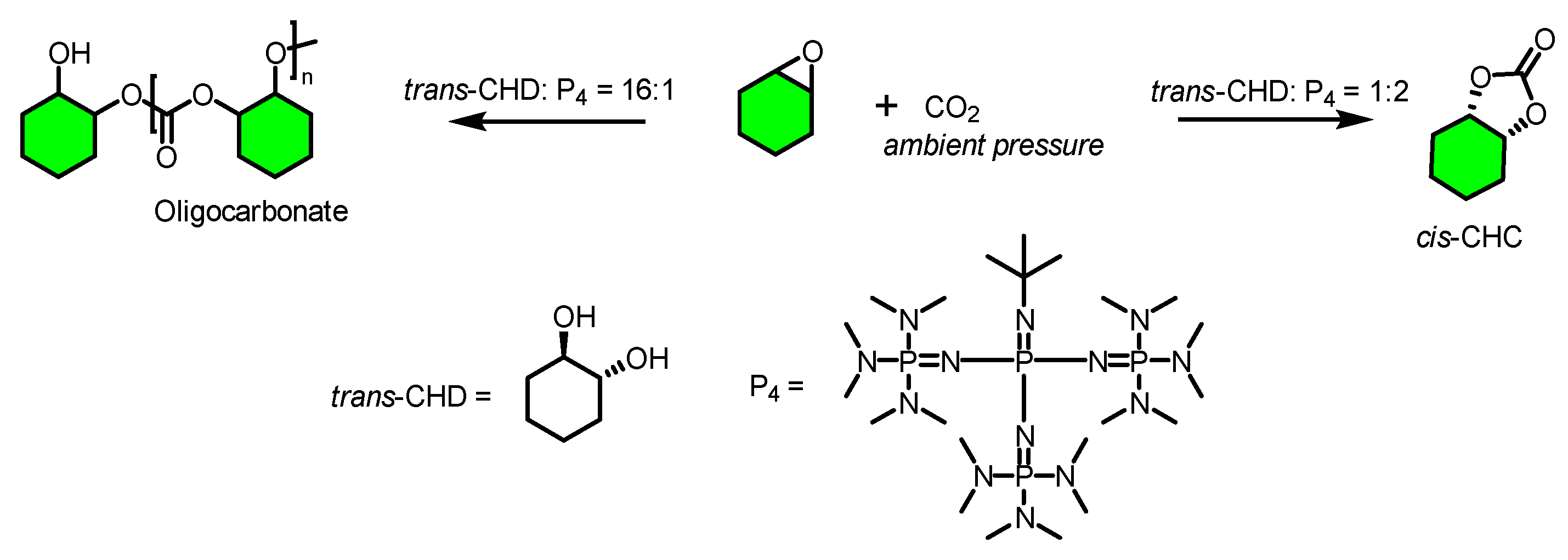 Catalysts 14 00822 sch001
