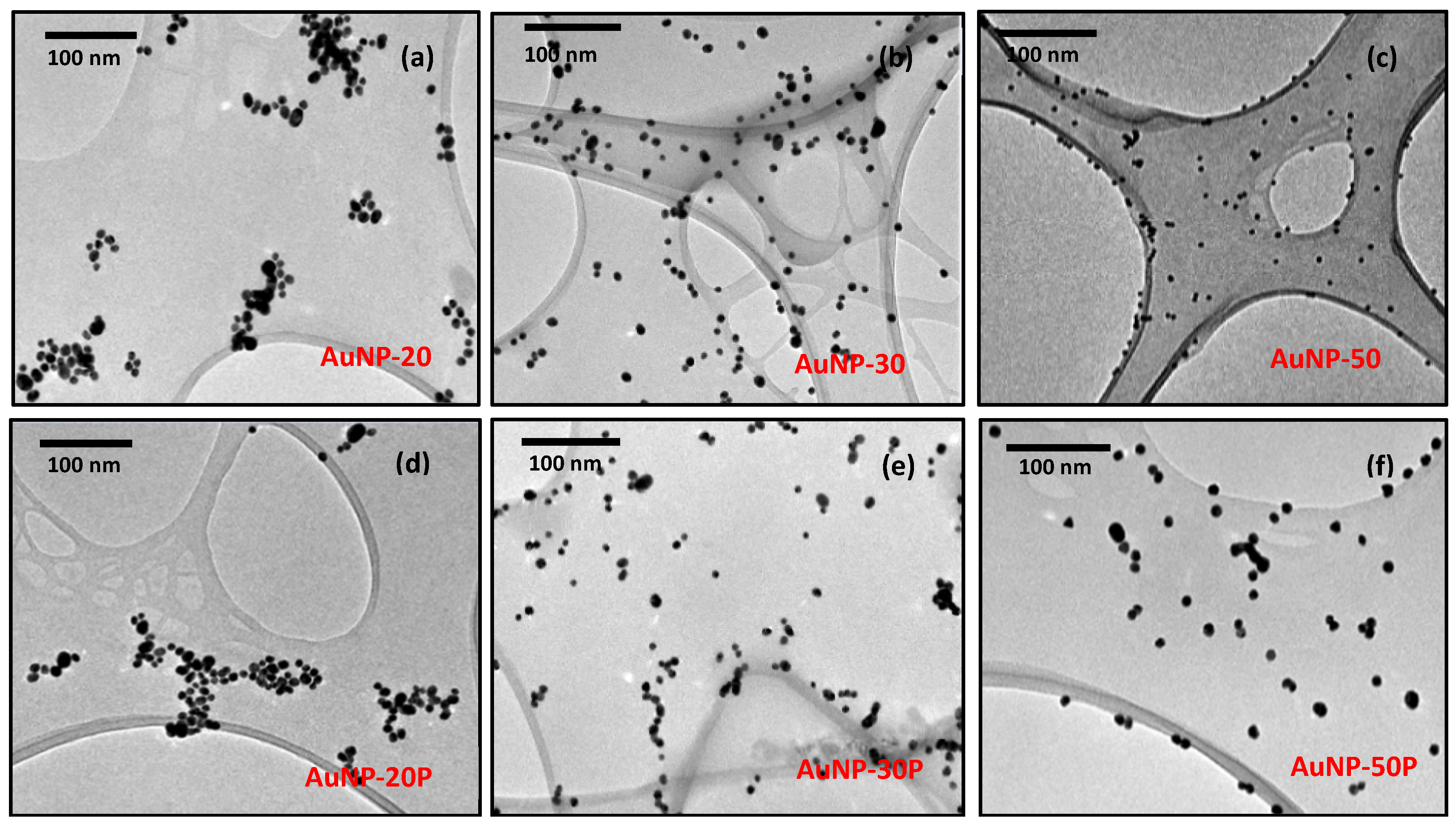 Catalysts 14 00826 g003
