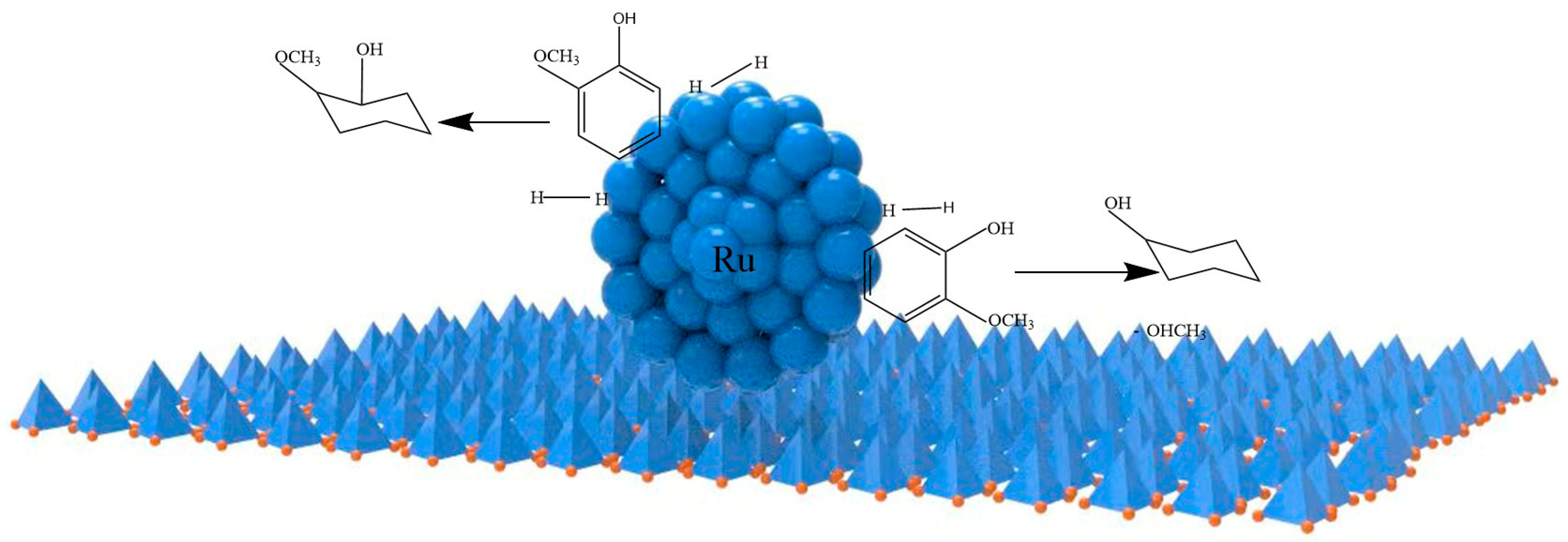 Catalysts 14 00827 g007