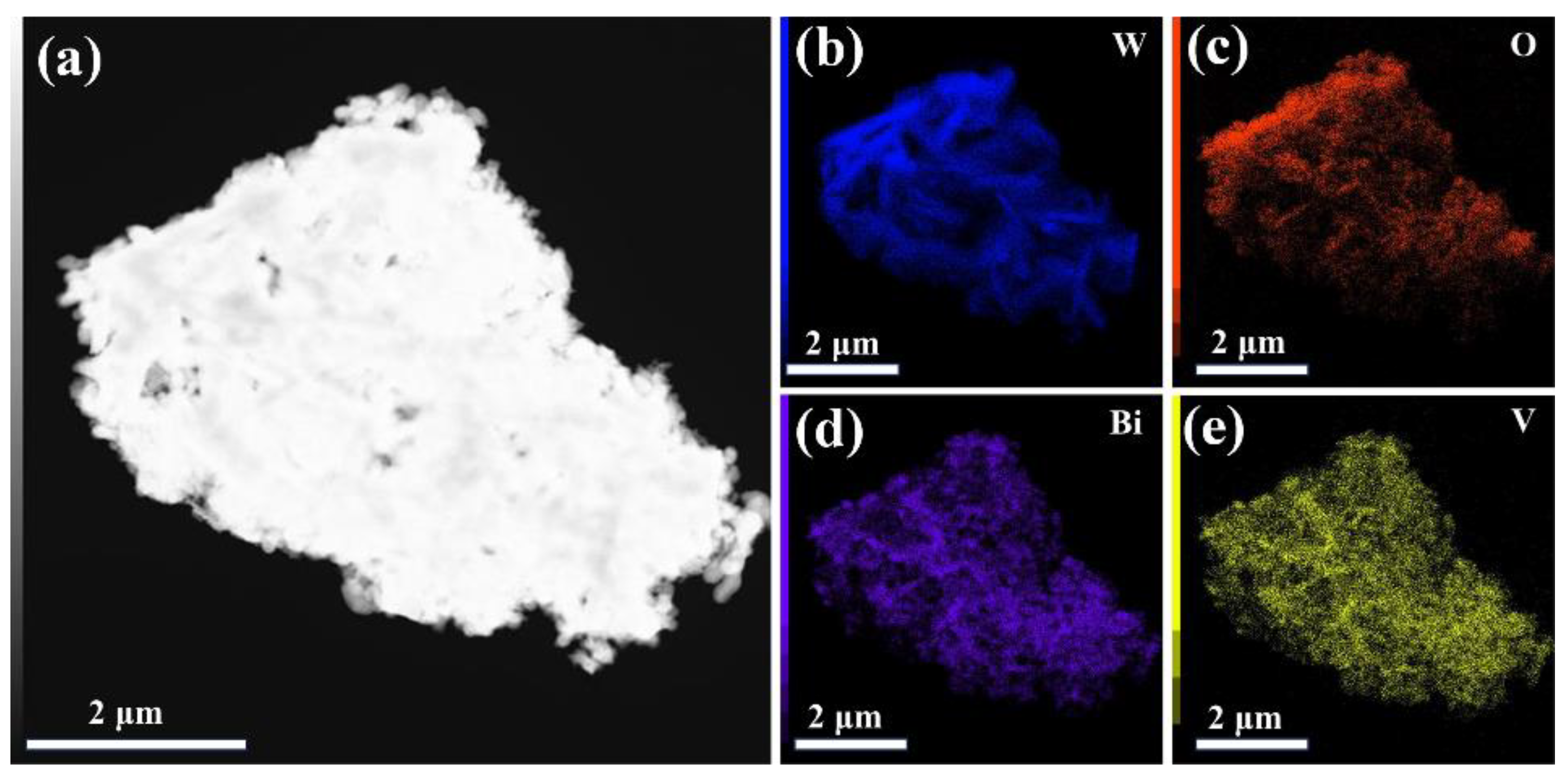 Catalysts 14 00828 g012