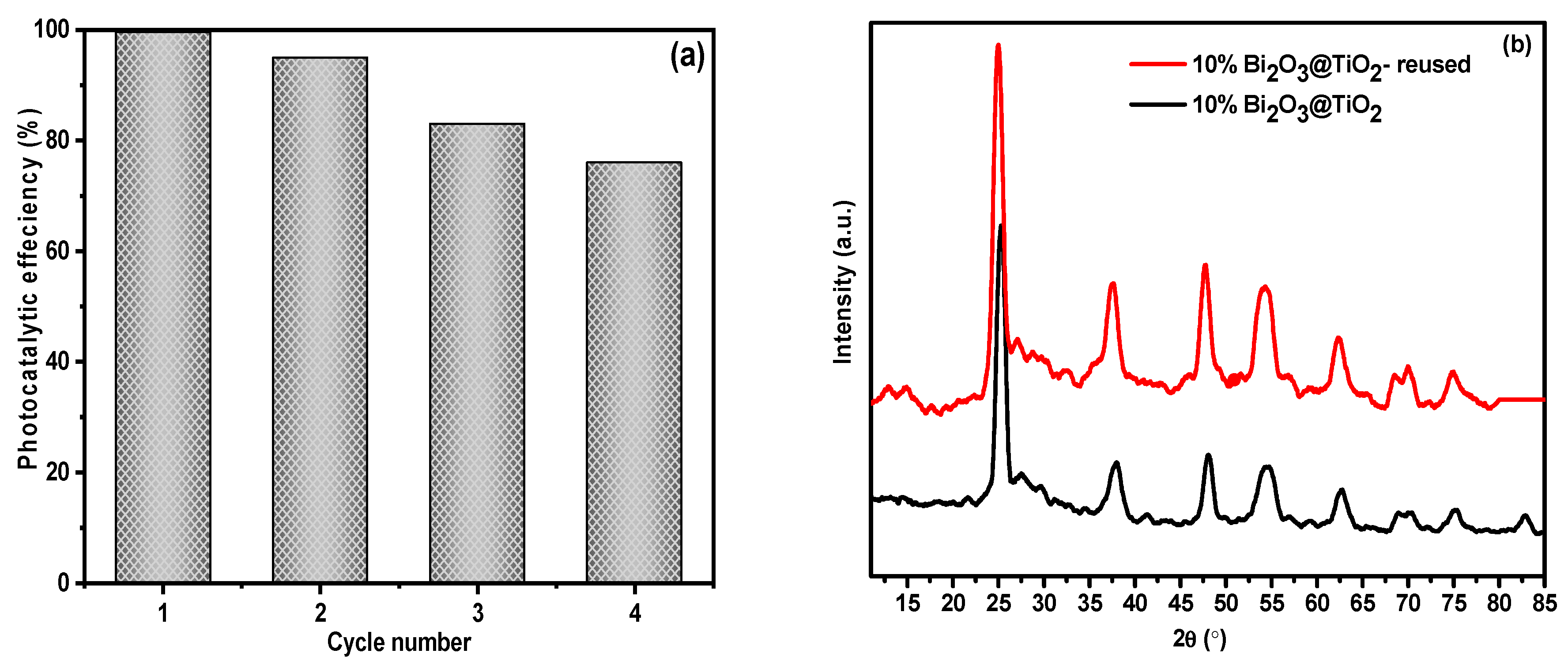 Catalysts 14 00829 g016
