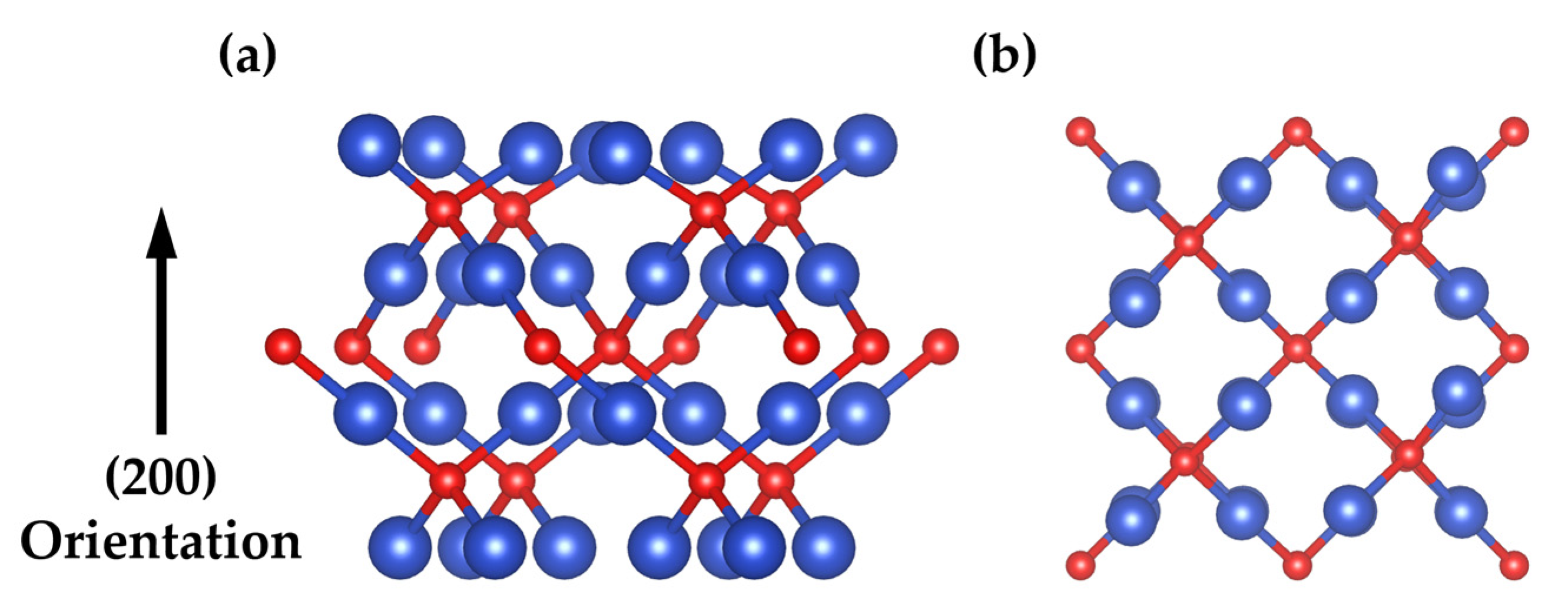 Catalysts 14 00832 g010