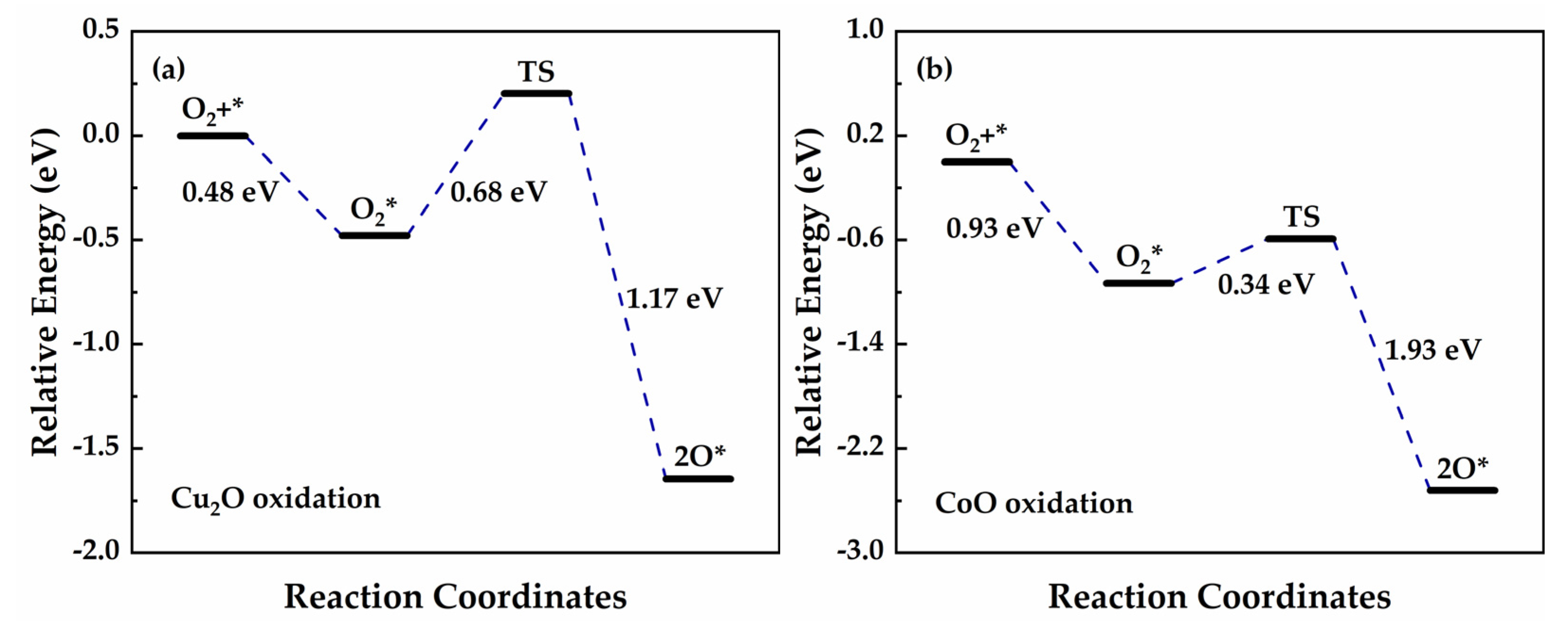 Catalysts 14 00832 g011