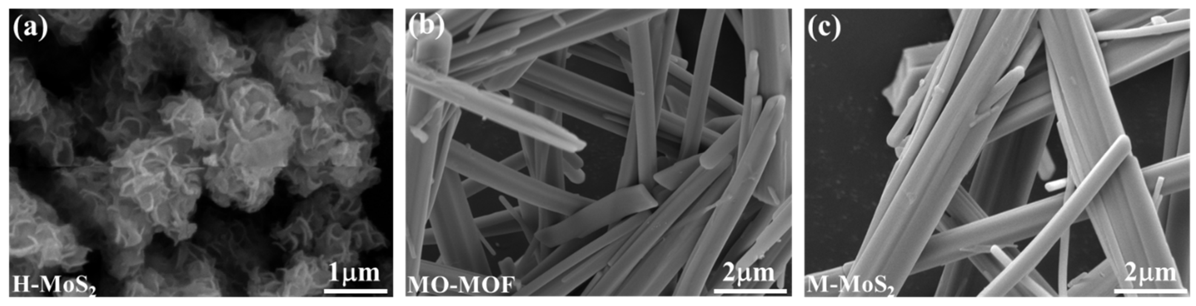 Catalysts 14 00833 g001