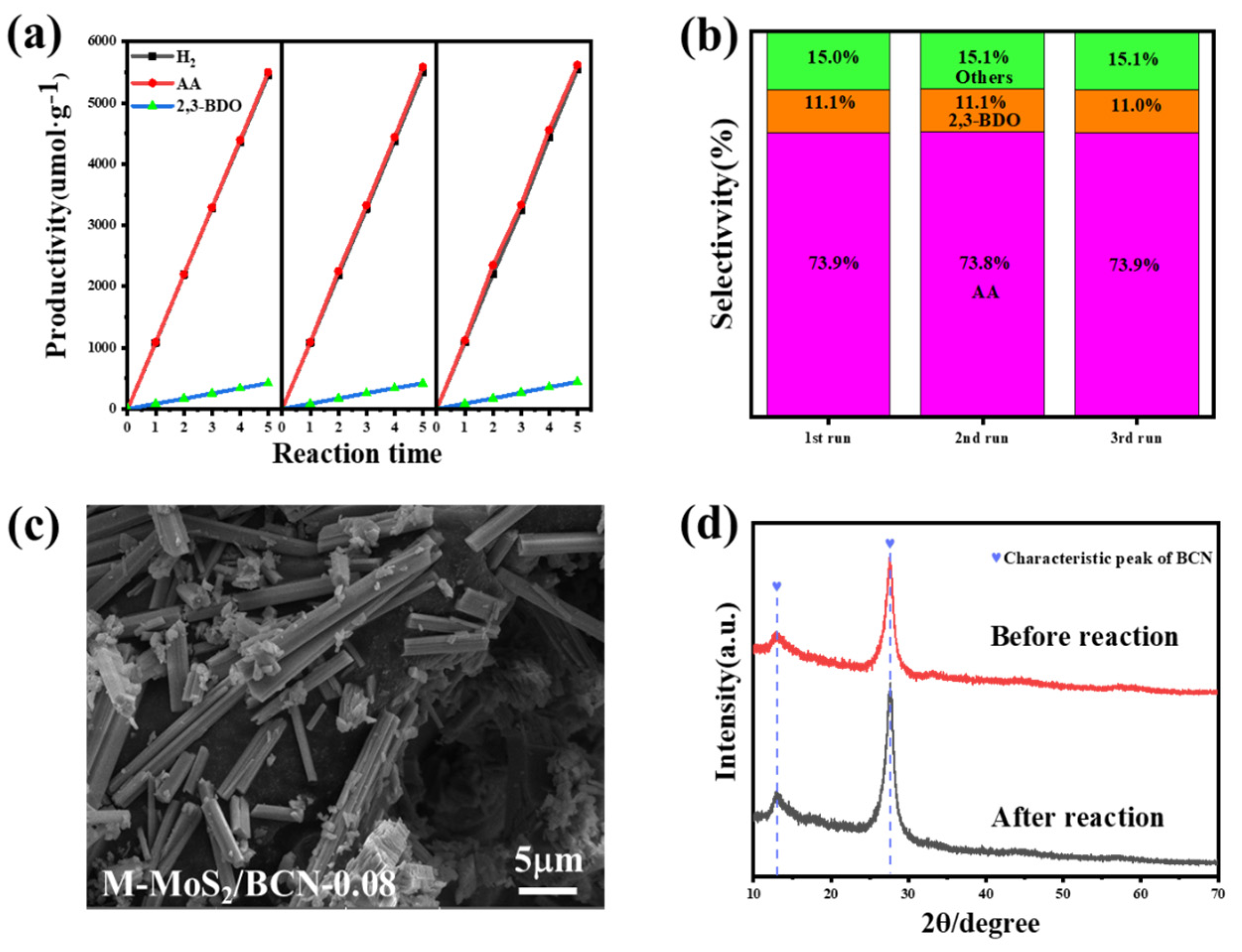 Catalysts 14 00833 g009