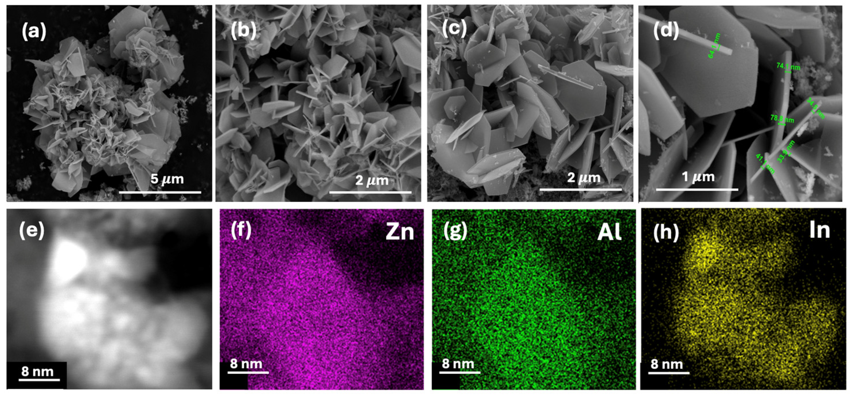 Catalysts 14 00835 g006