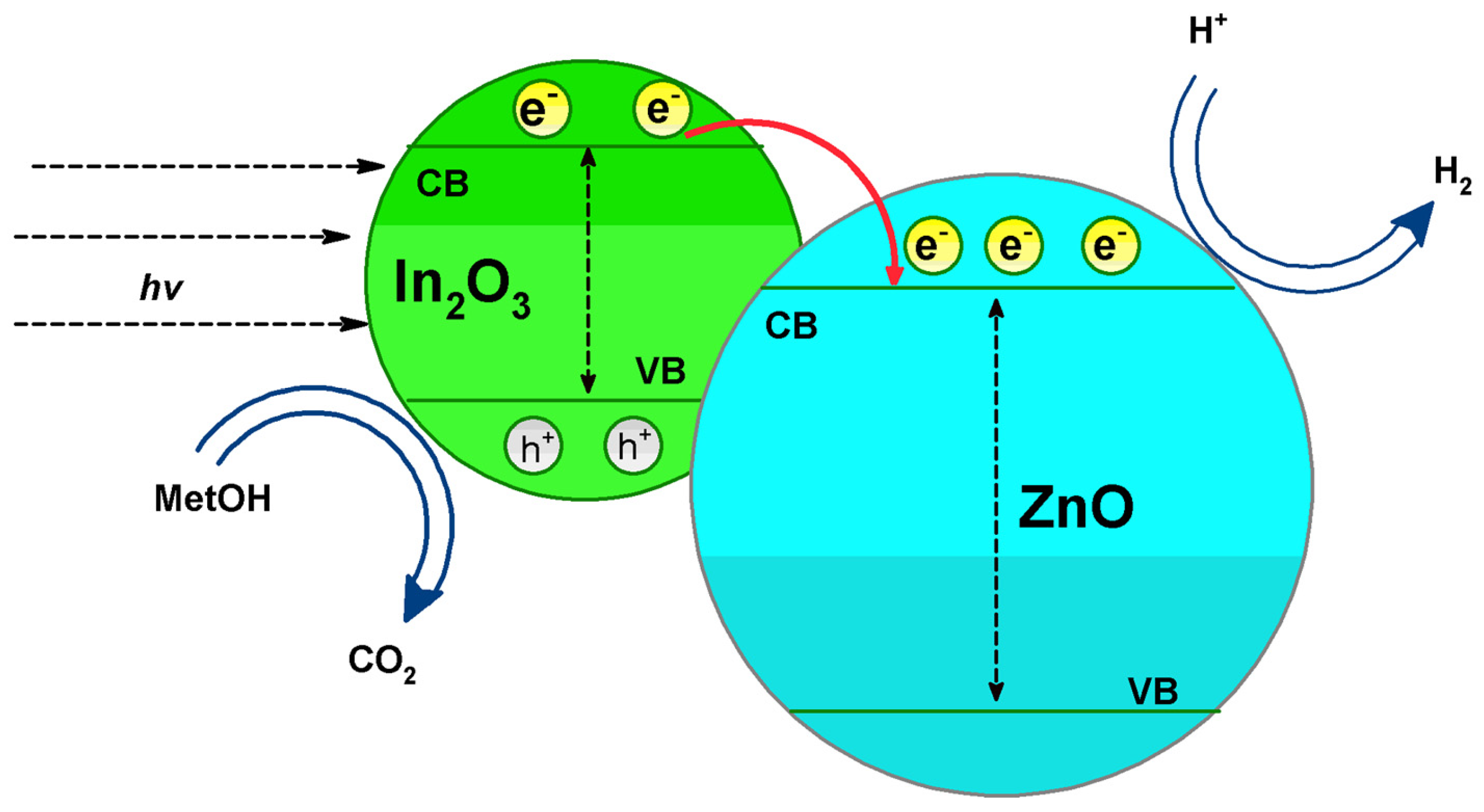 Catalysts 14 00835 g013