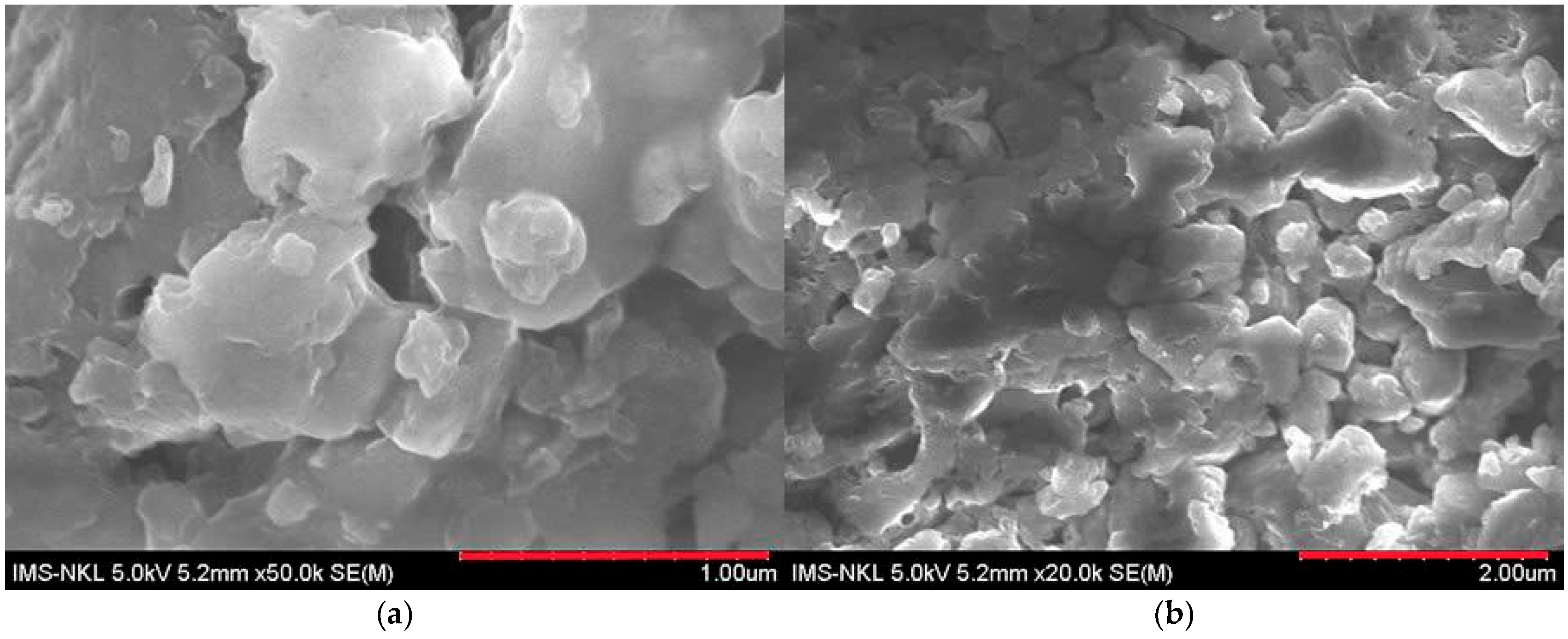 Catalysts 14 00837 g002