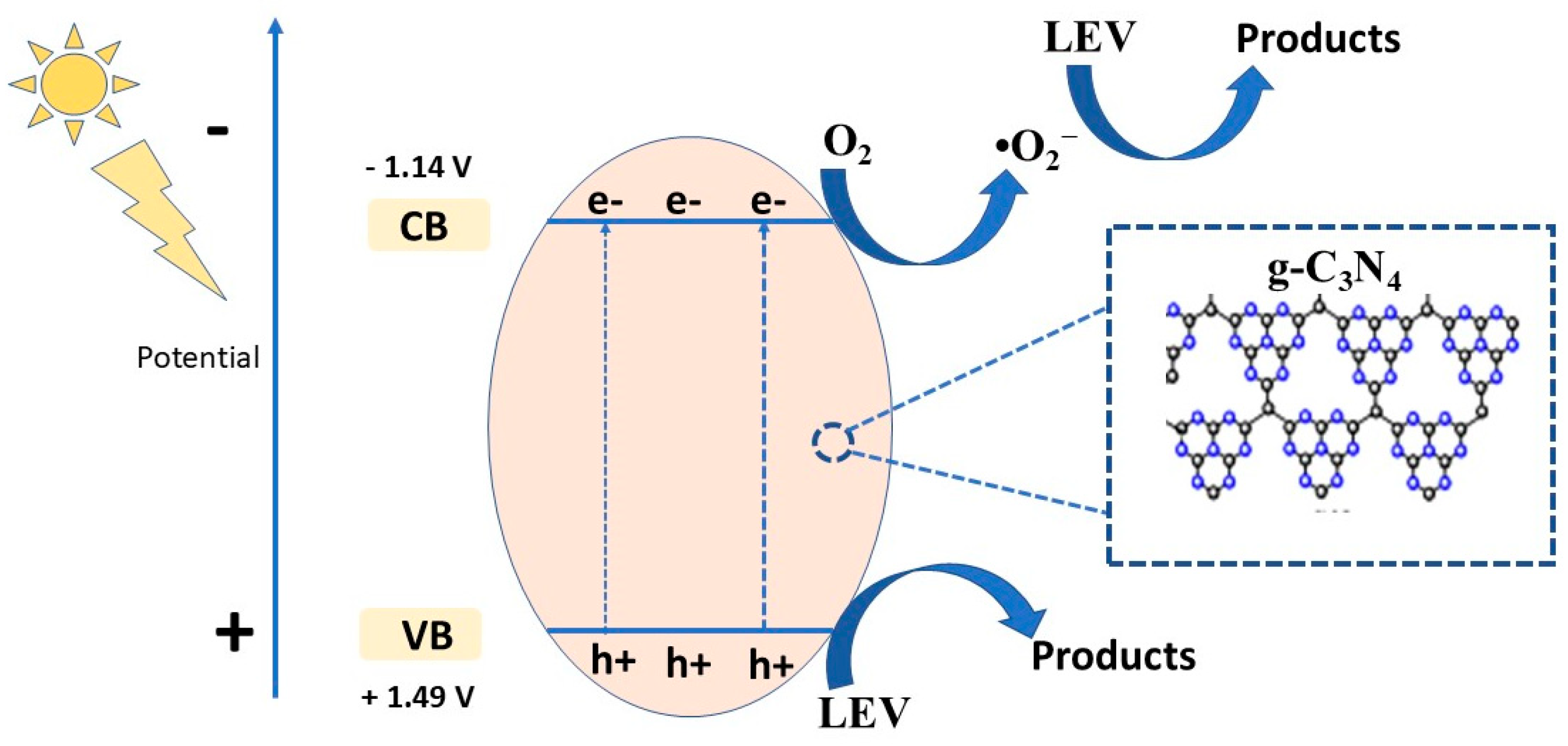 Catalysts 14 00837 g010