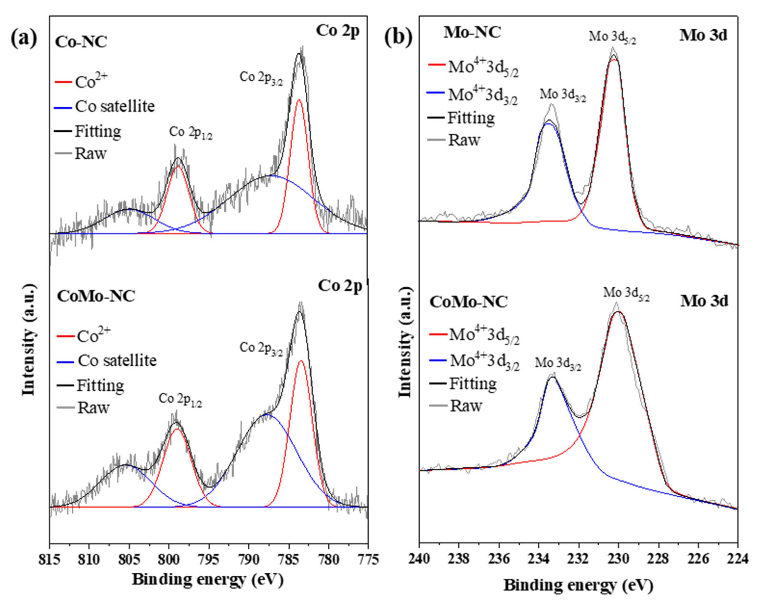 Catalysts 14 00838 g002