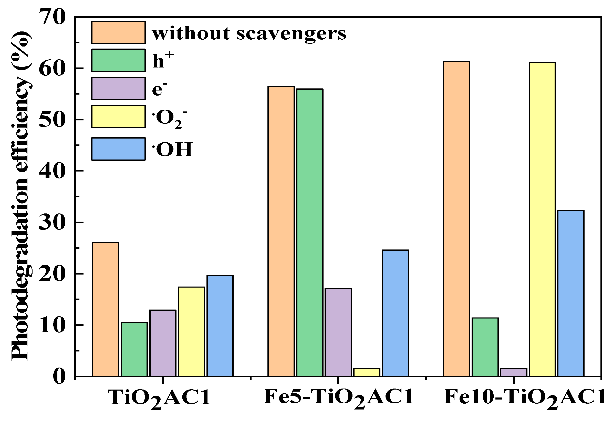 Catalysts 14 00844 g012