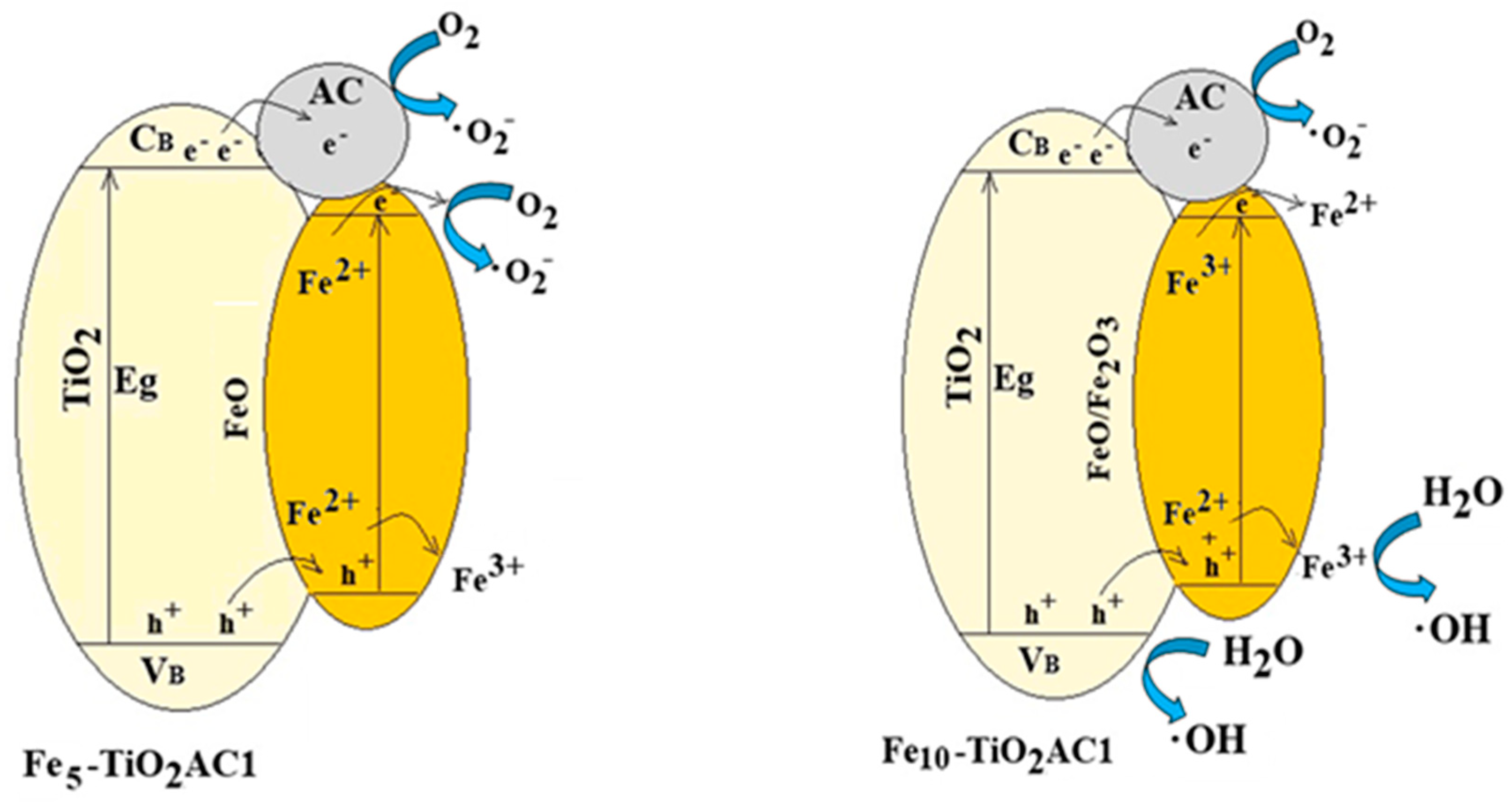 Catalysts 14 00844 g013