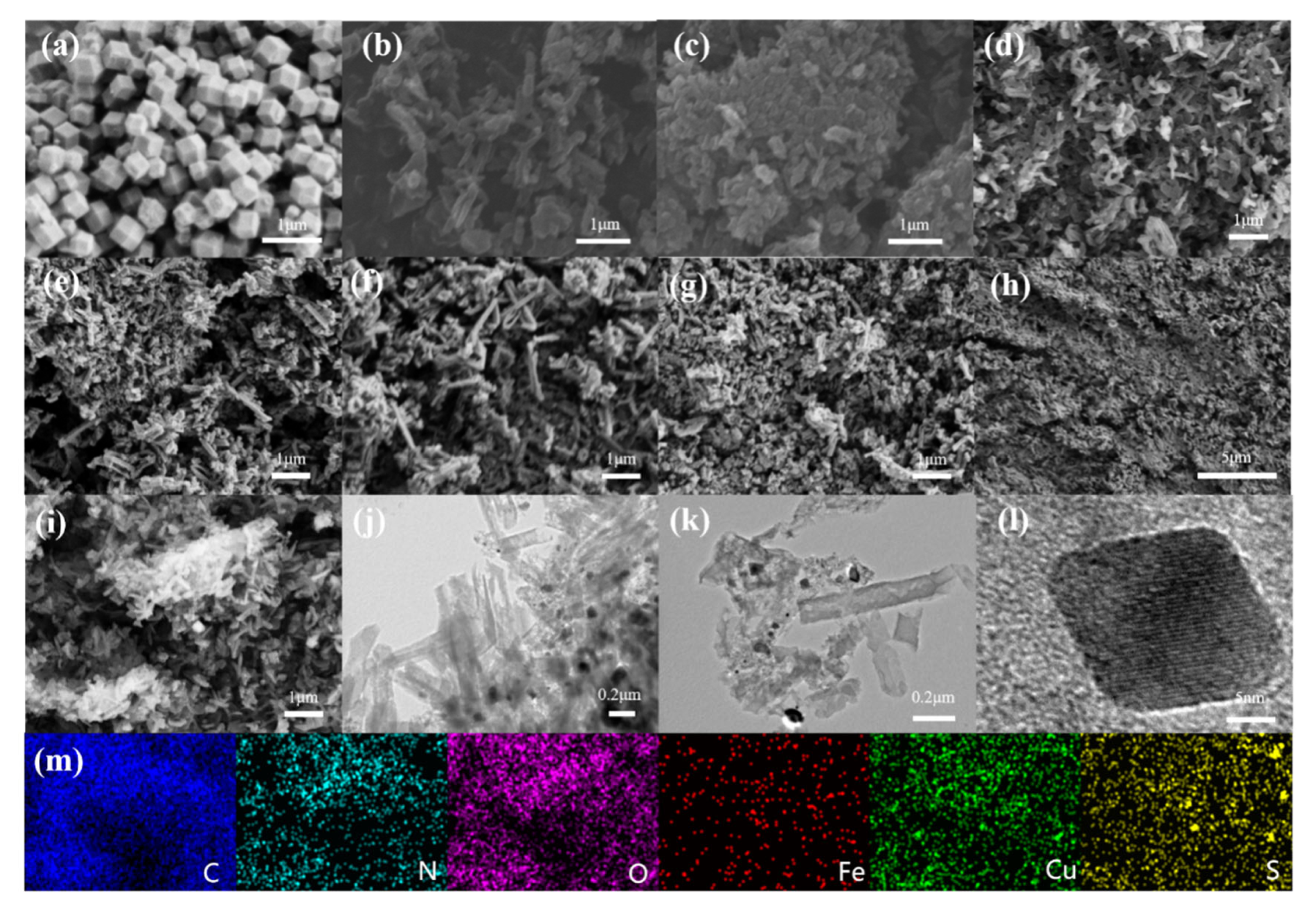 Catalysts 14 00849 g002