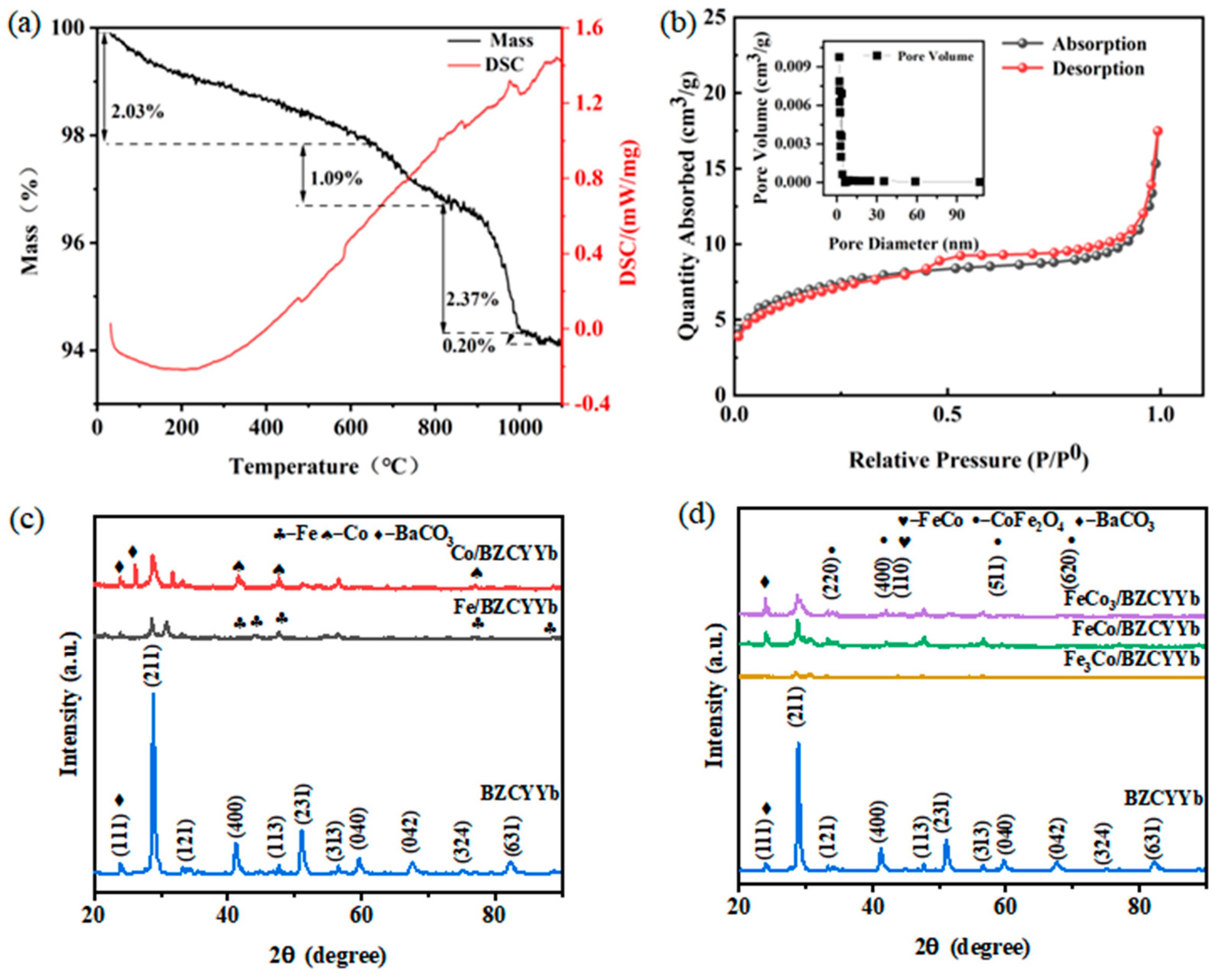 Catalysts 14 00850 g001