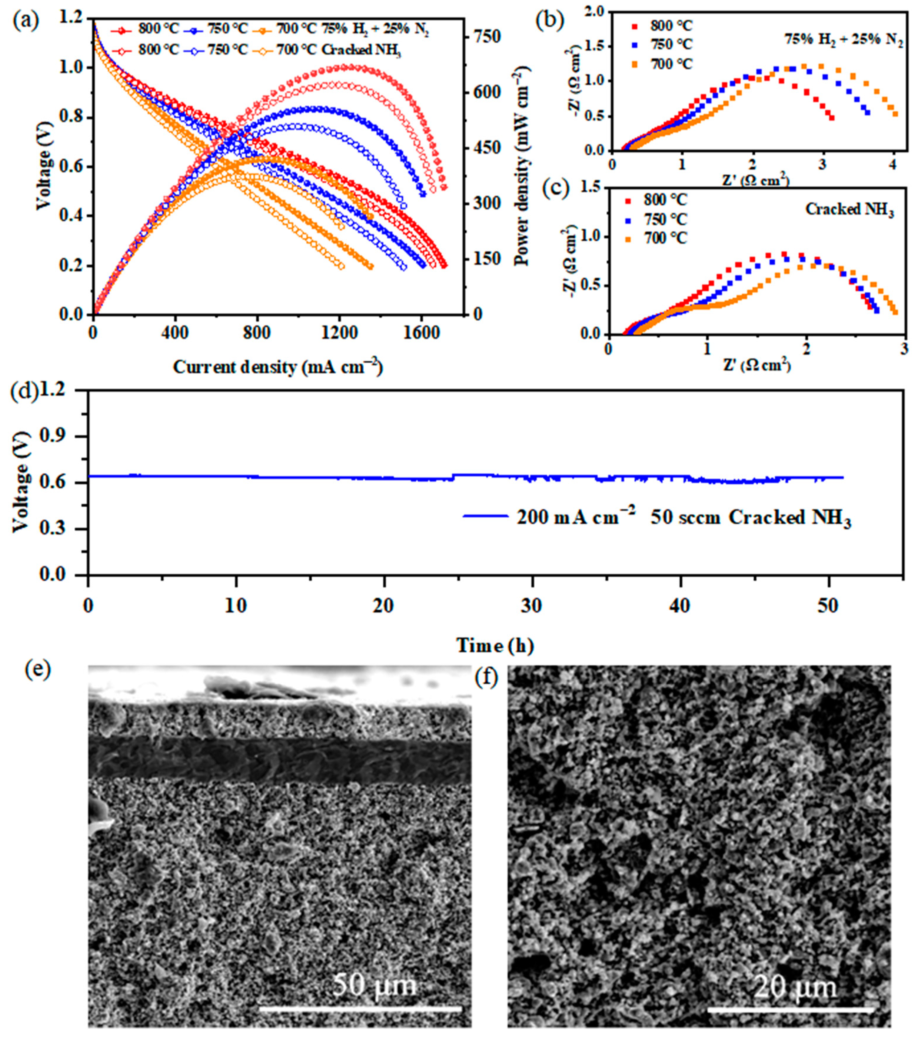 Catalysts 14 00850 g006